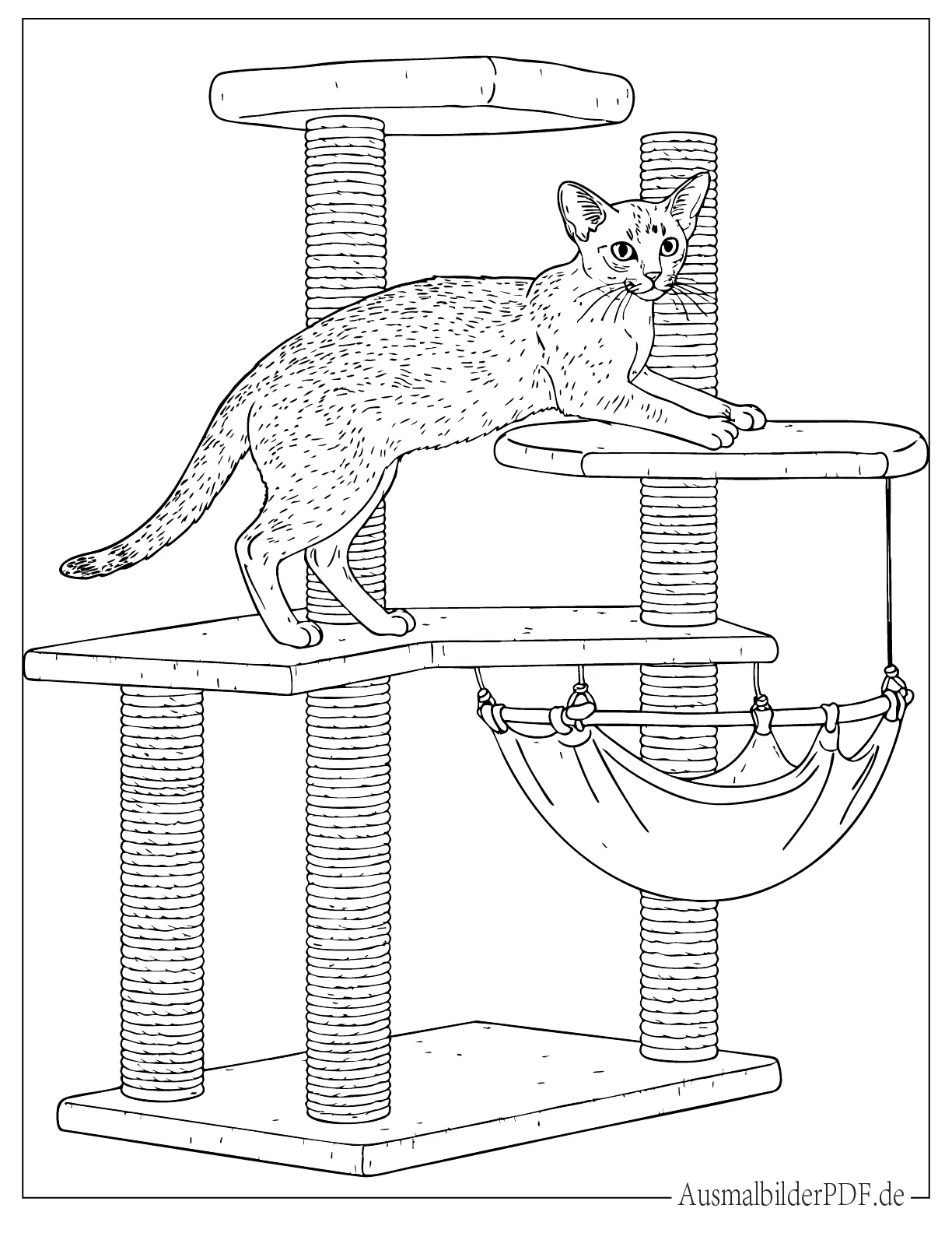 Realistische Abessinierkatze auf einem Katzenhaus Malvorlage