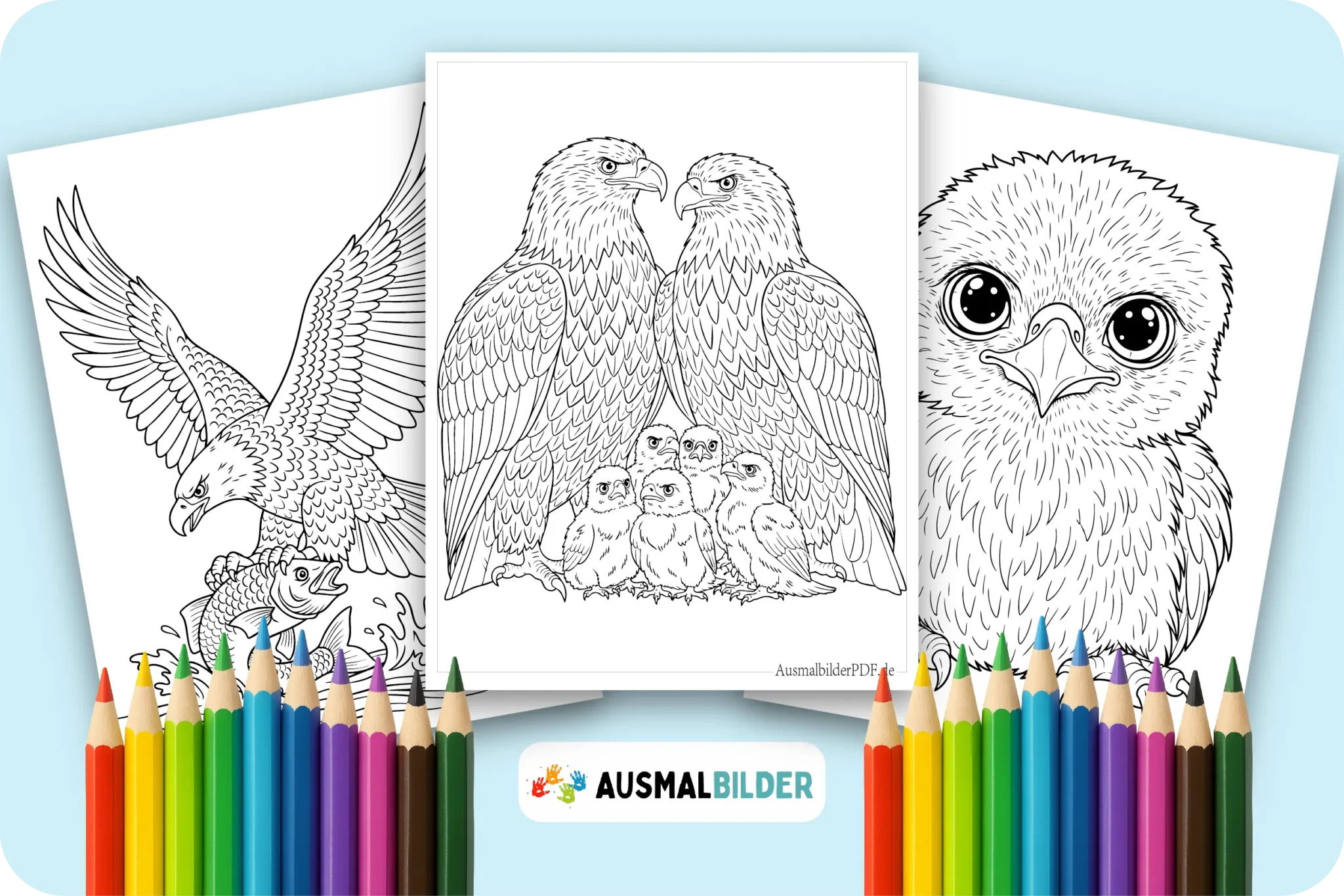 10+ Ausmalbilder Adler (Gratis zum Ausdrucken und Ausmalen) Adler Ausmalbilder kostenlose Malvorlagen zum Ausdrucken für Kinder