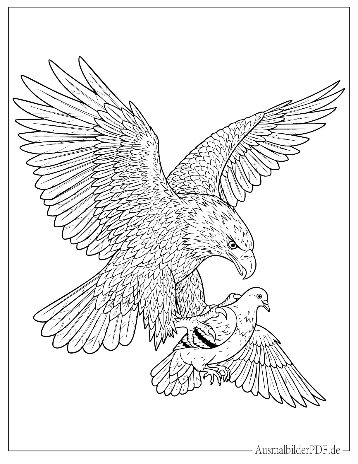 10+ Ausmalbilder Adler (Gratis zum Ausdrucken und Ausmalen) Adler fängt Taube in seinen Krallen Ausmalvorlage