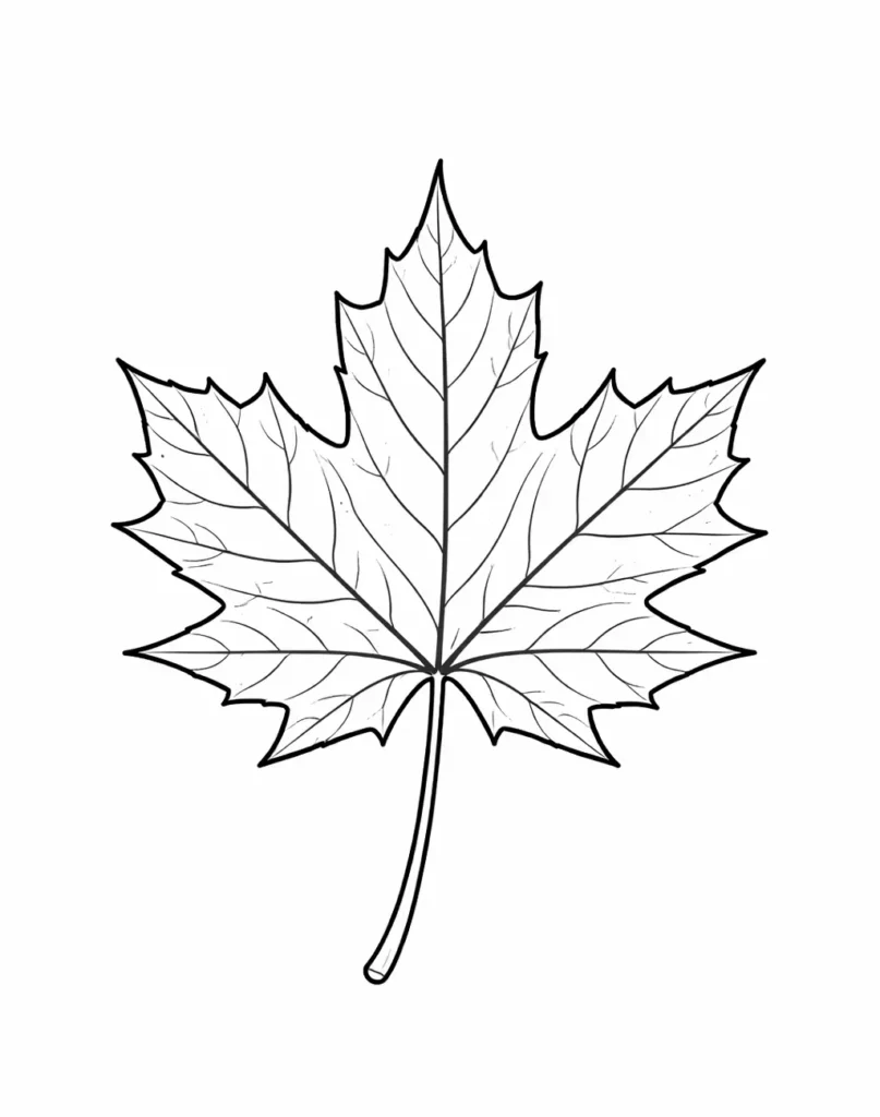 Ahornblatt Ausmalbild für Kinder, klare Blattform als kostenlose Malvorlage zum Ausdrucken und Ausmalen