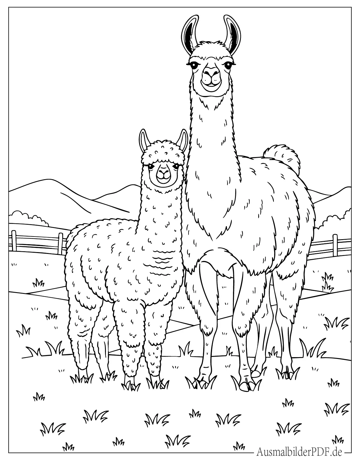 Alpaka und Lama stehen auf einem Bauernhof druckbare Ausmalvorlage