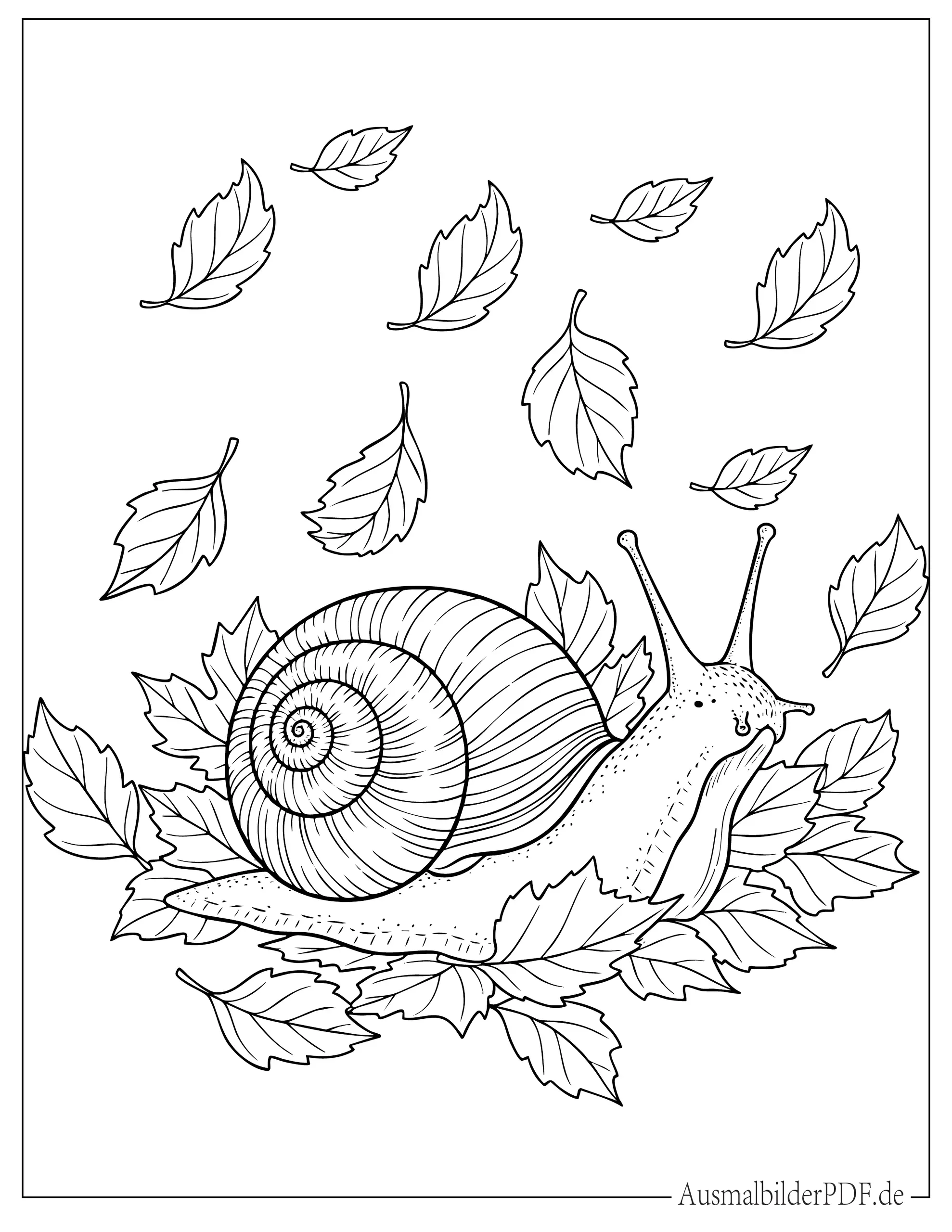 Baby Schnecke im Herbstblatt Ausmalbild für Kinder