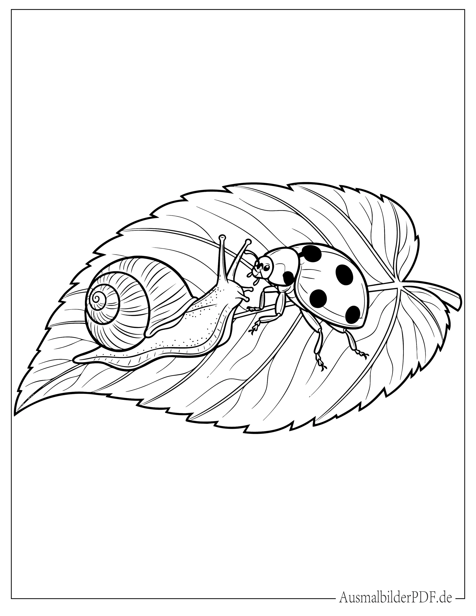 Baby Schnecke mit einem Marienkäfer Freund sitzt auf Blatt zum Ausmalen