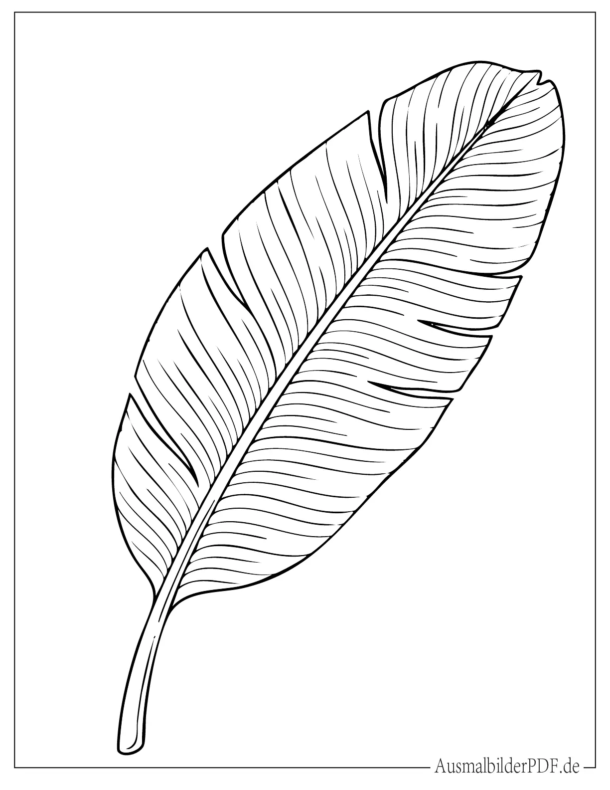 Bananenblatt Malvorlage