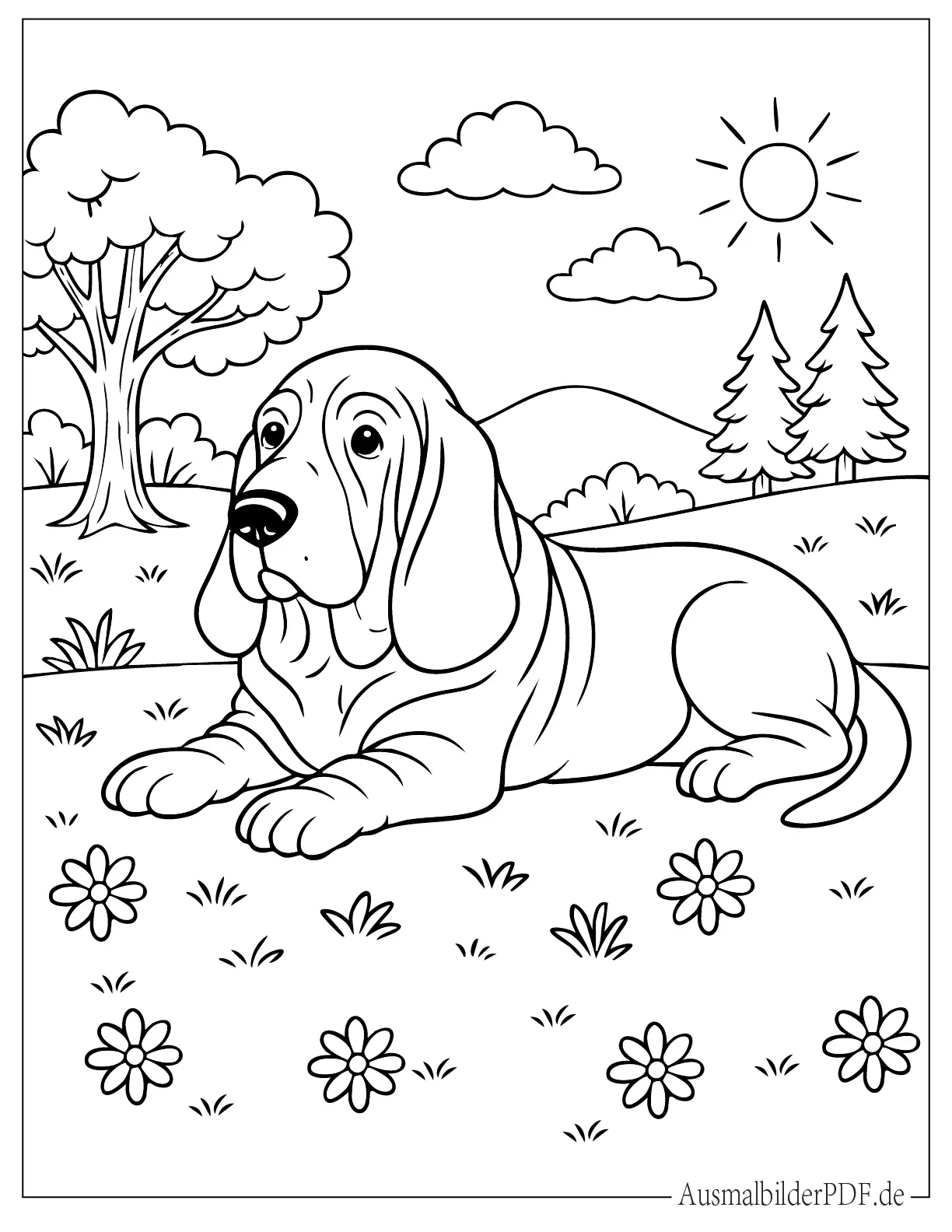 Basset Hund liegt im Garten Malvorlage