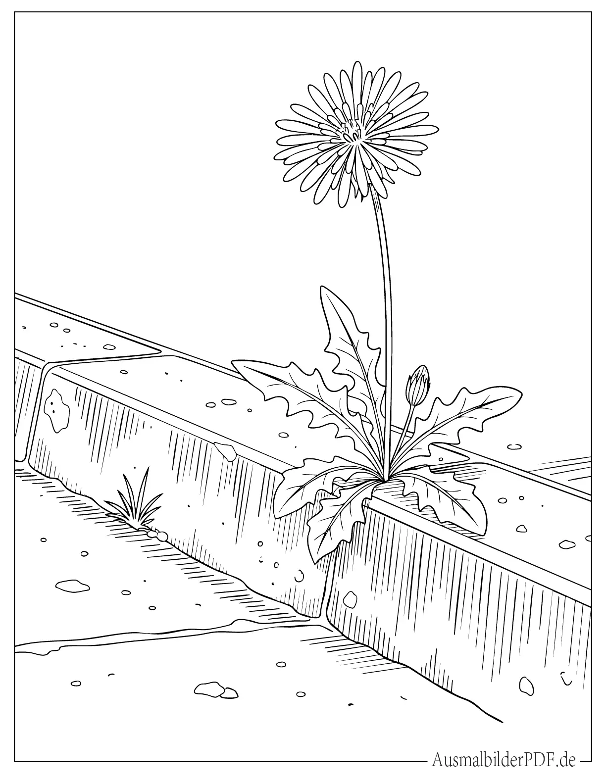 Blume wächst aus einem rissigen Bürgersteig Ausmalbild