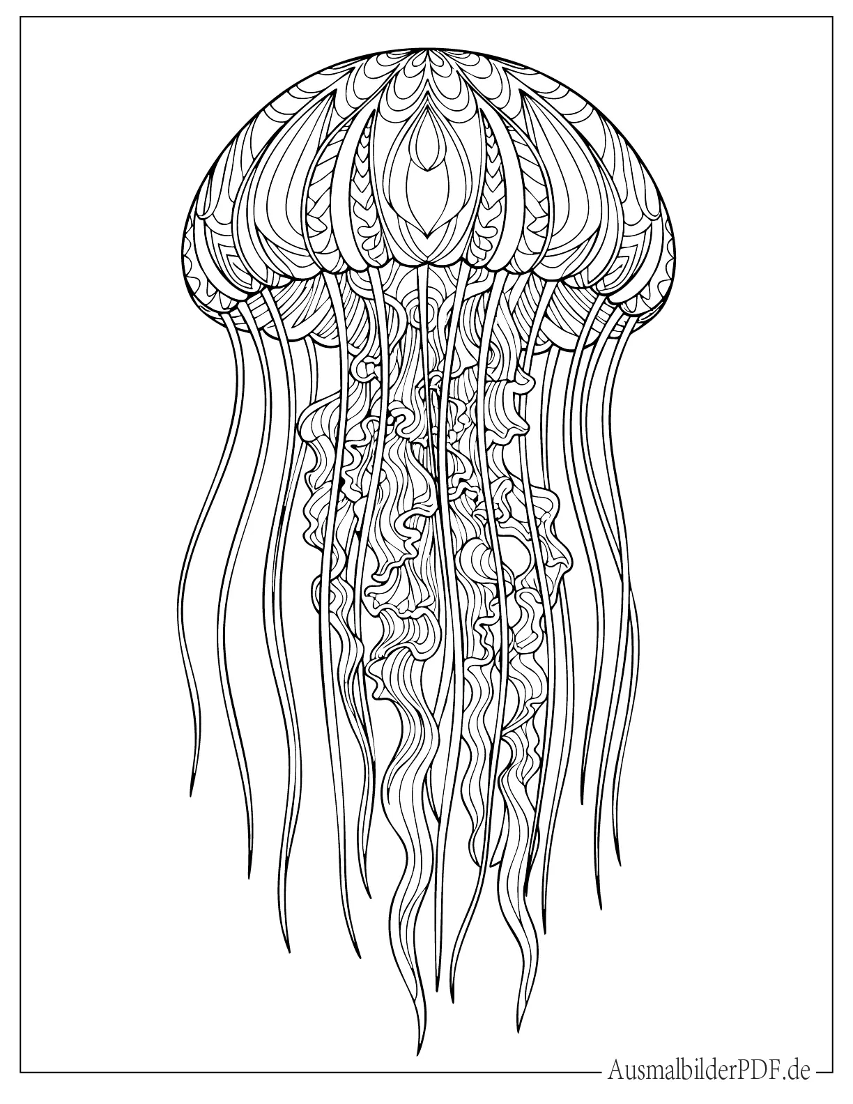 10+ Qualle Ausmalbilder (Gratis Malvorlage zum Ausdrucken) Detaillierte Qualle Mandala Ausmalbild für Erwachsene