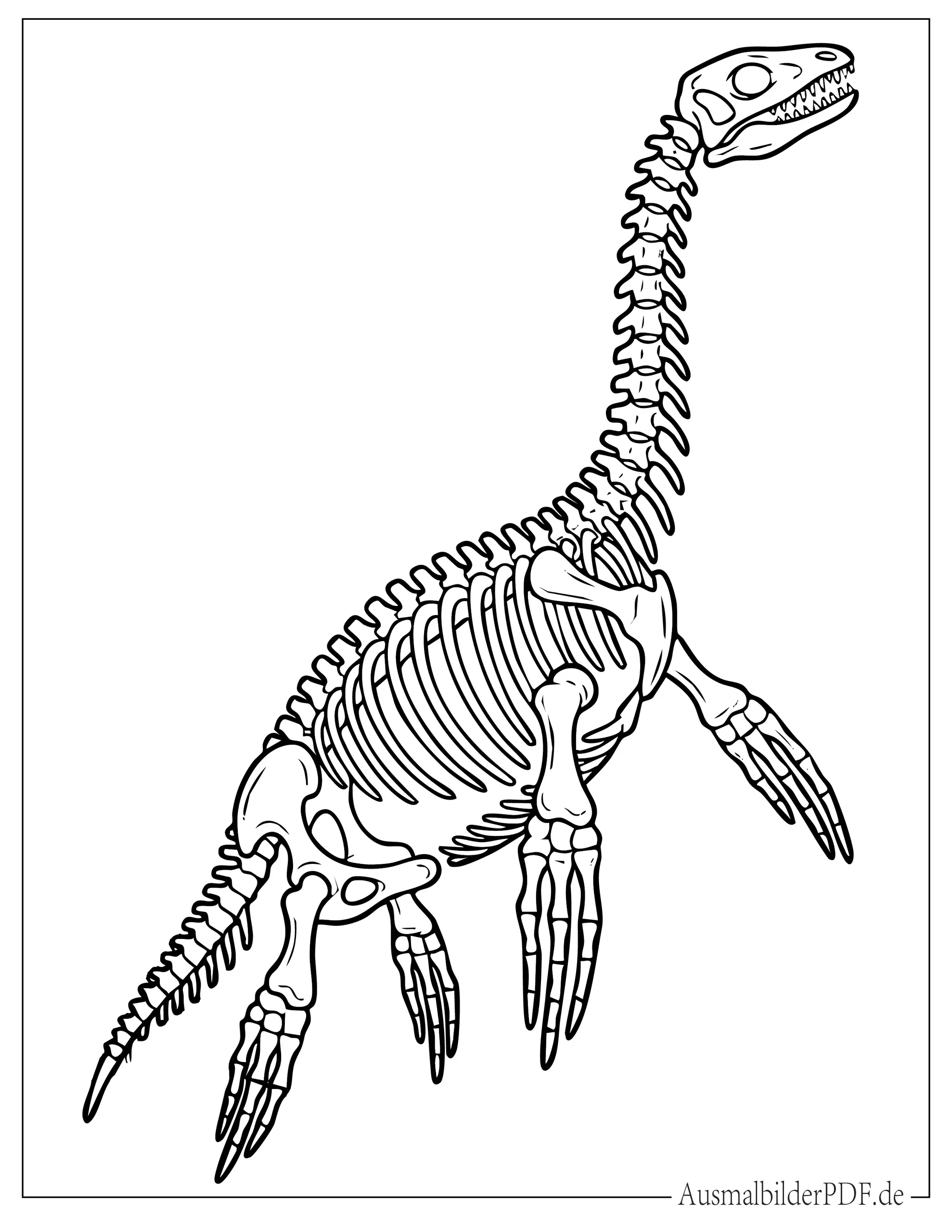 Detailliertes Plesiosaurus Dinosaurier Skelett Ausmalbild