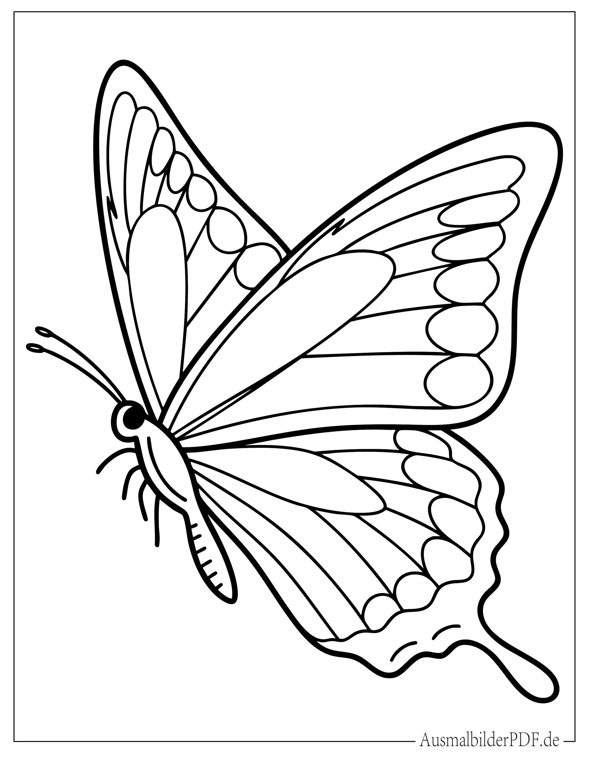 Einfacher Schmetterling Malbild für kleine Kinder
