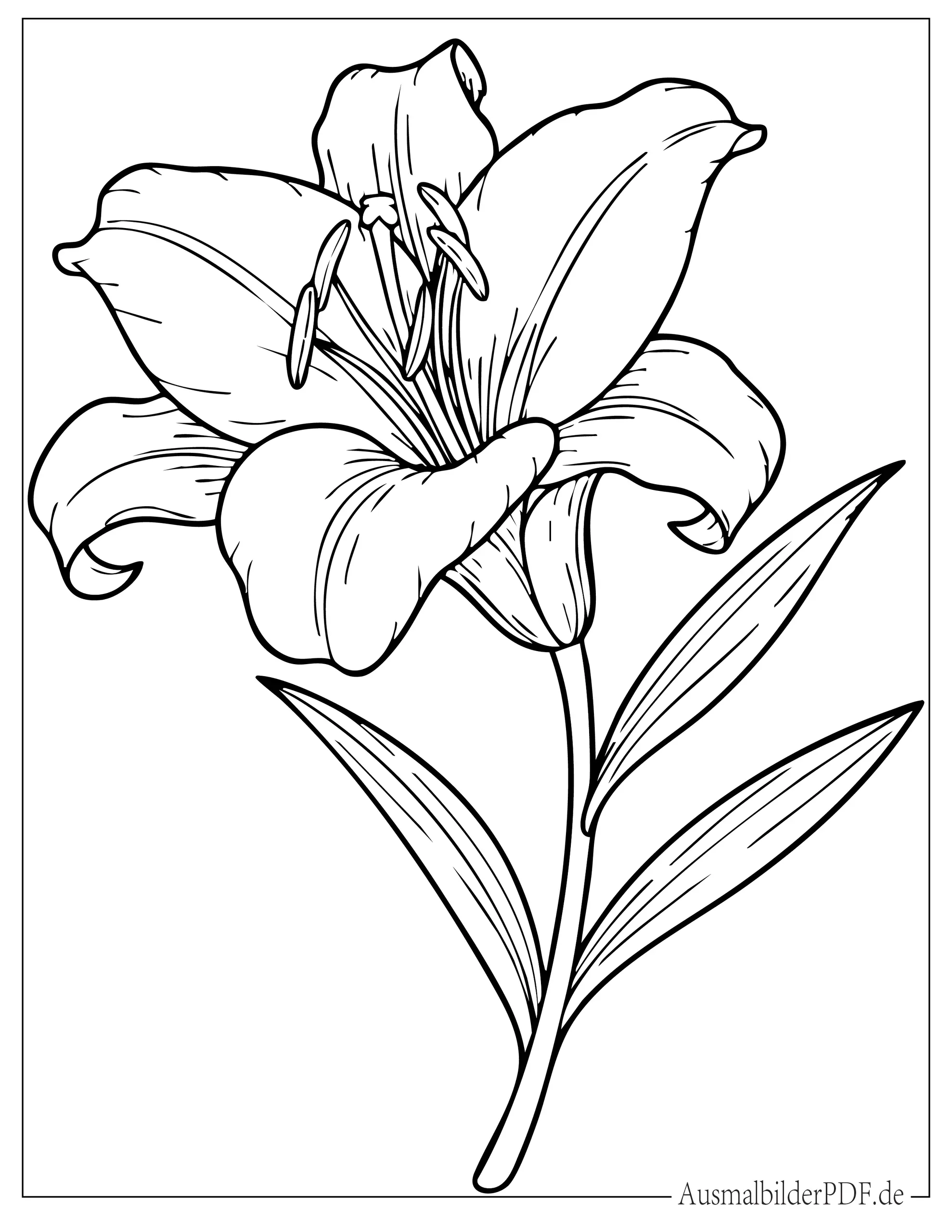 Einfache einzelne Osterlilie Blume Malvorlage für Vorschulkinder