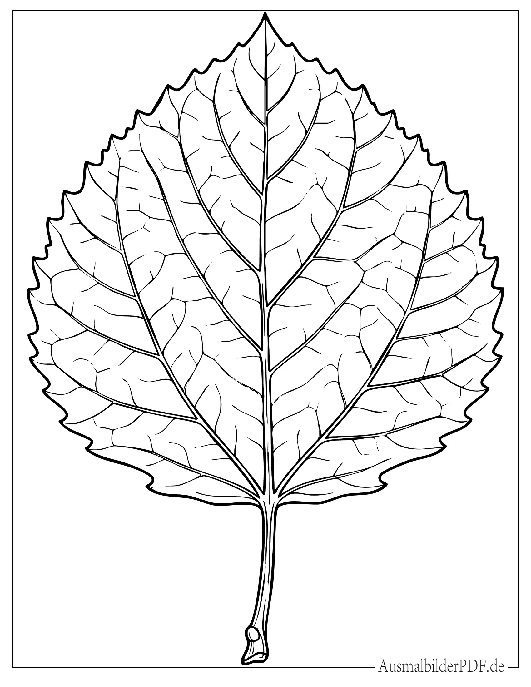 Realistisches Buchenblatt Aderndetail Malvorlage