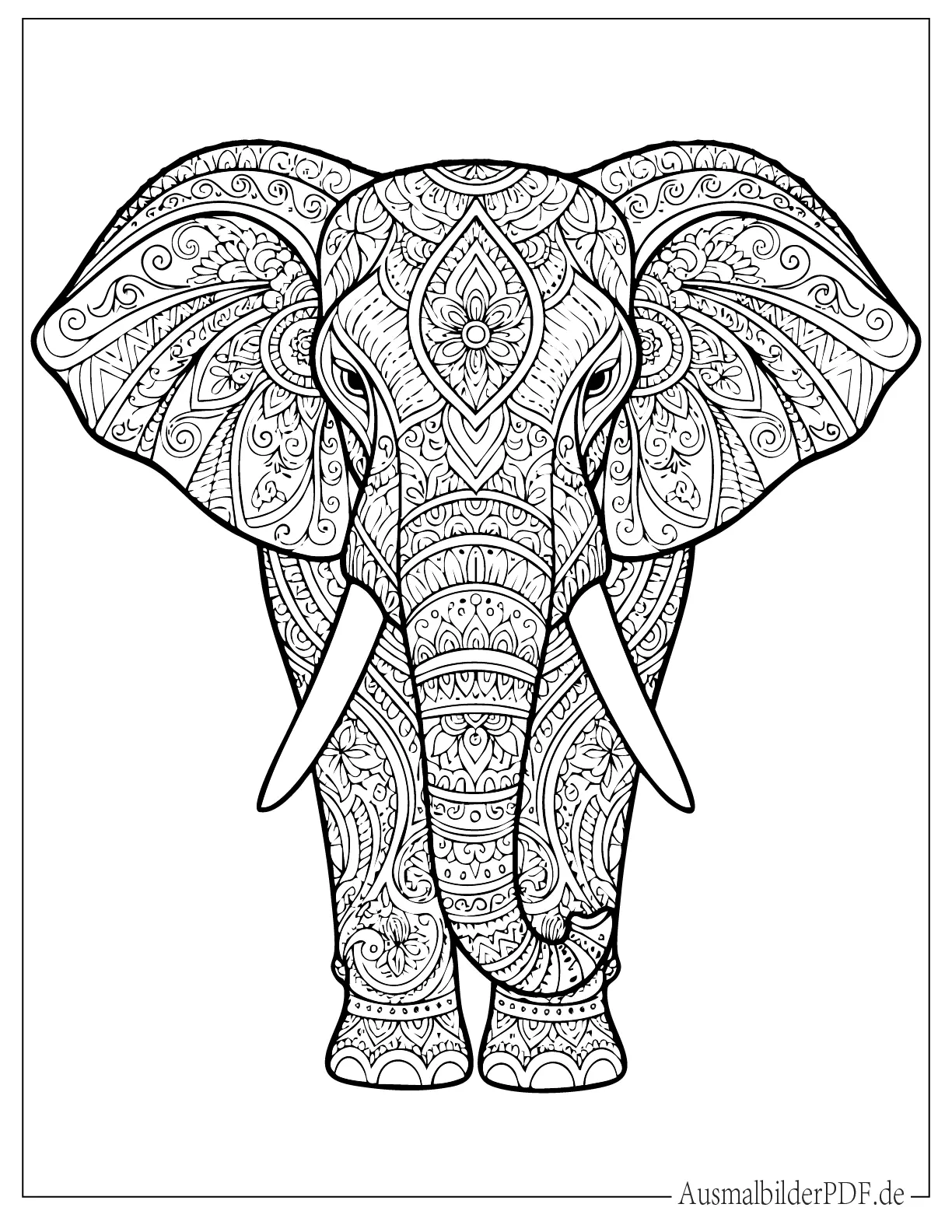 Detailliertes Elefant Mandala Ausmalbild für Erwachsene