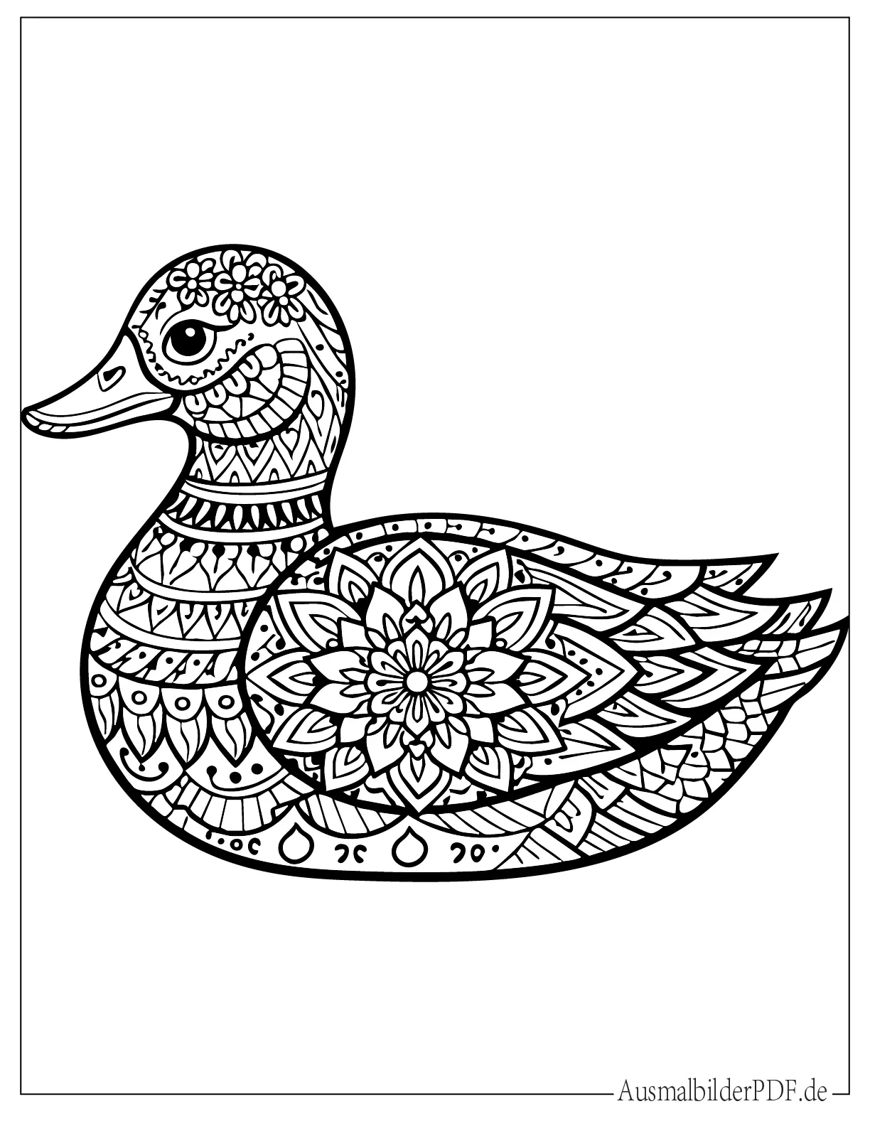Detailliertes Enten Mandala Ausmalbild für Erwachsene