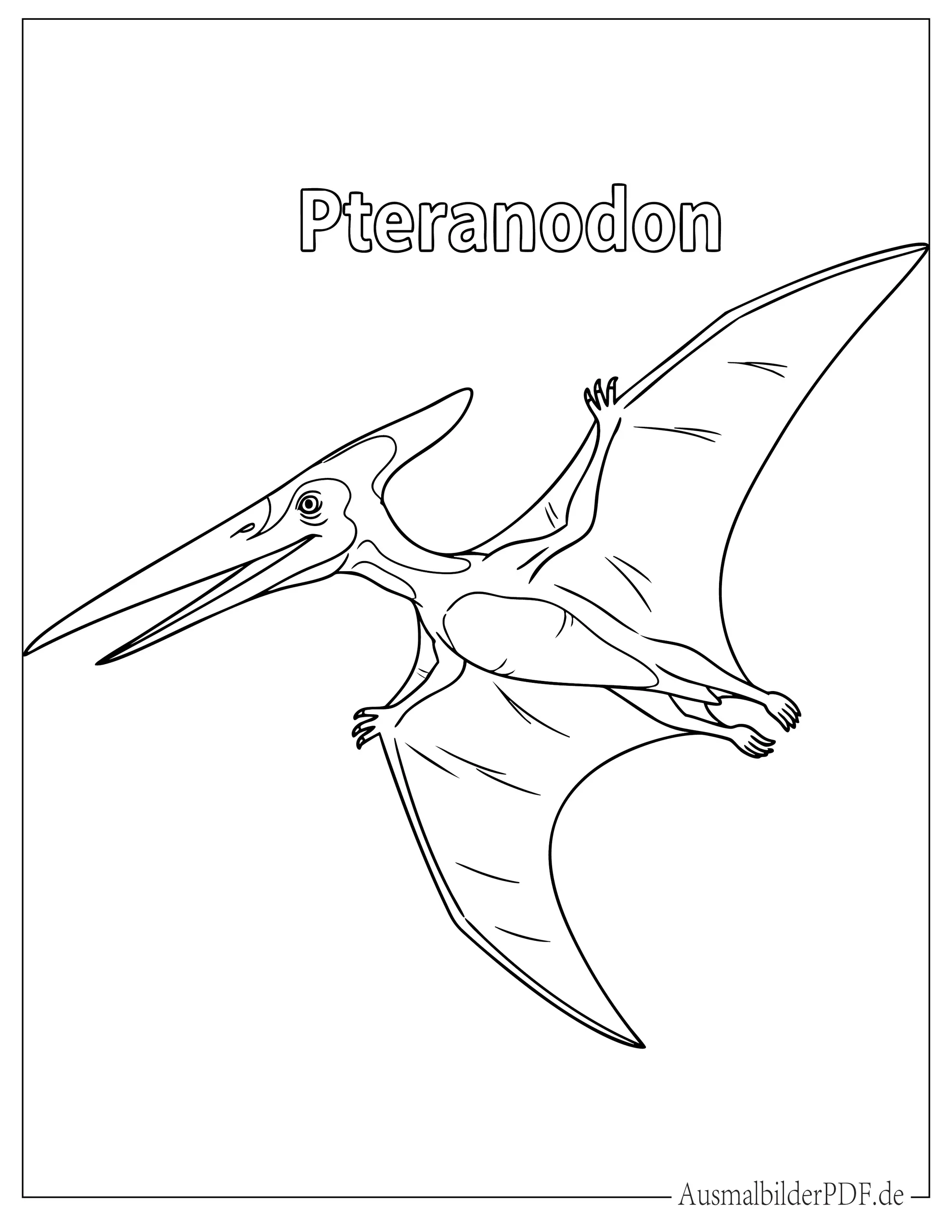 Fliegender Pteranodon Dinosaurier Ausmalbild