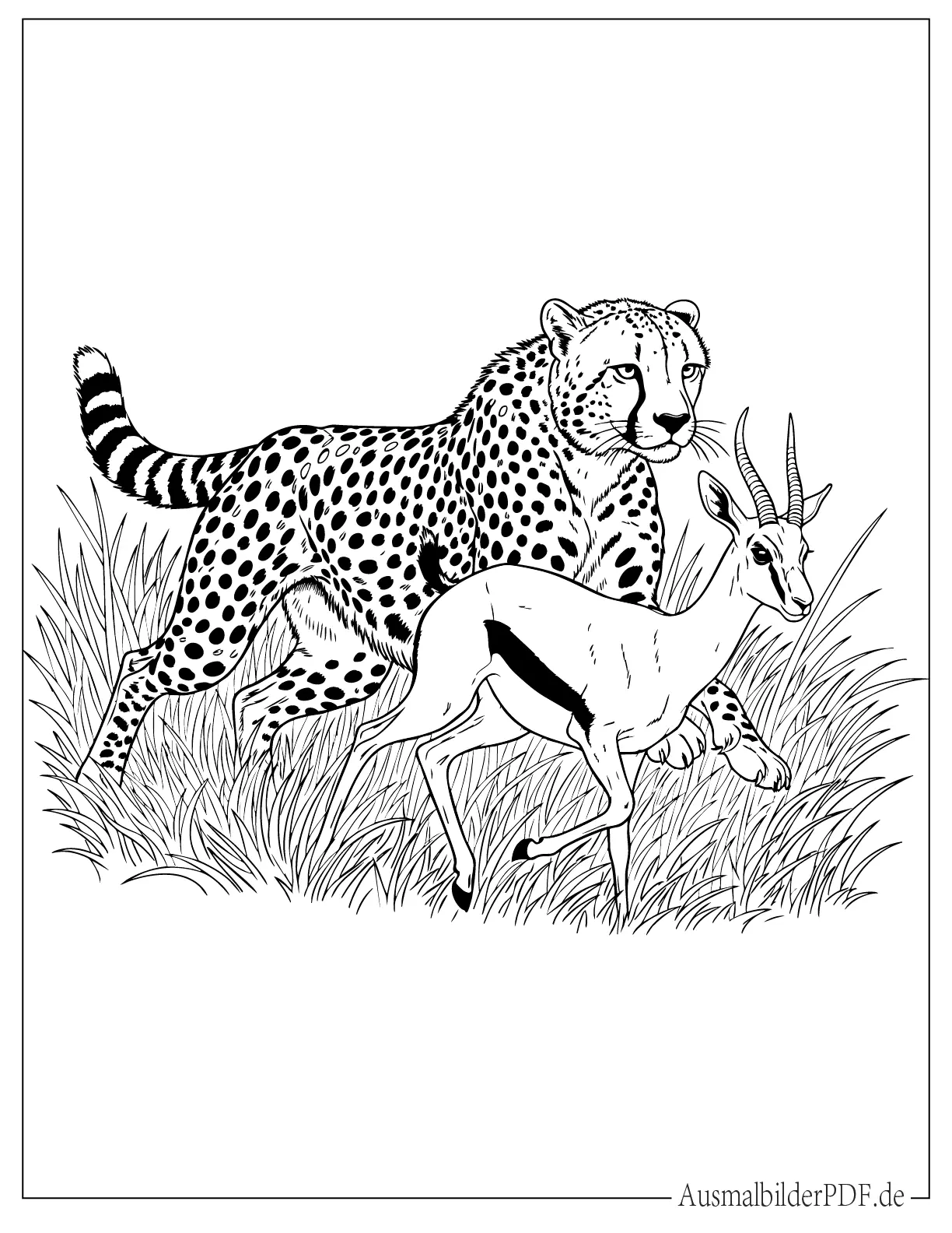 Gepard jagt Reh Malbild zum Ausdrucken