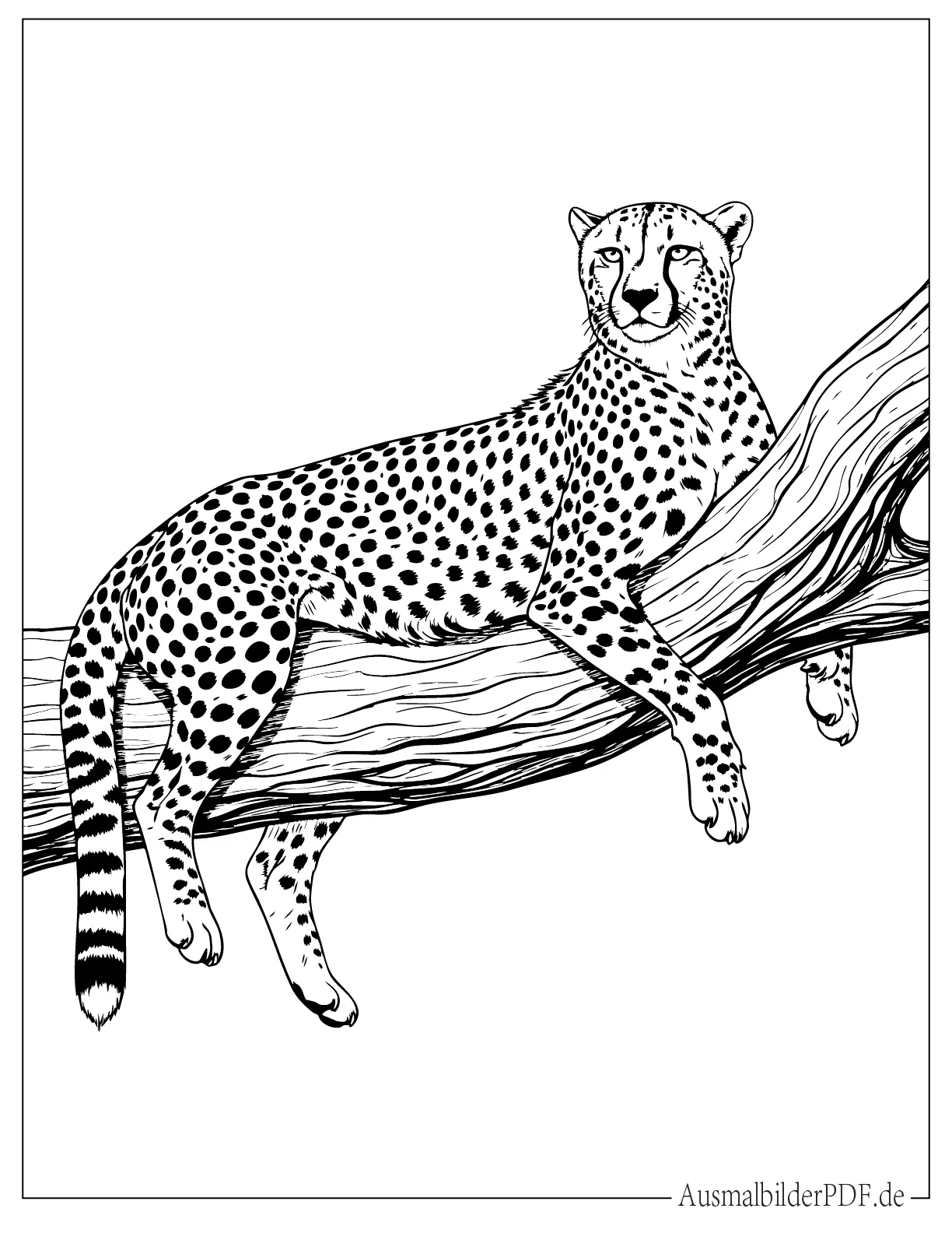 Gepard (Großkatze) ruht auf einem Baum zum Ausmalen
