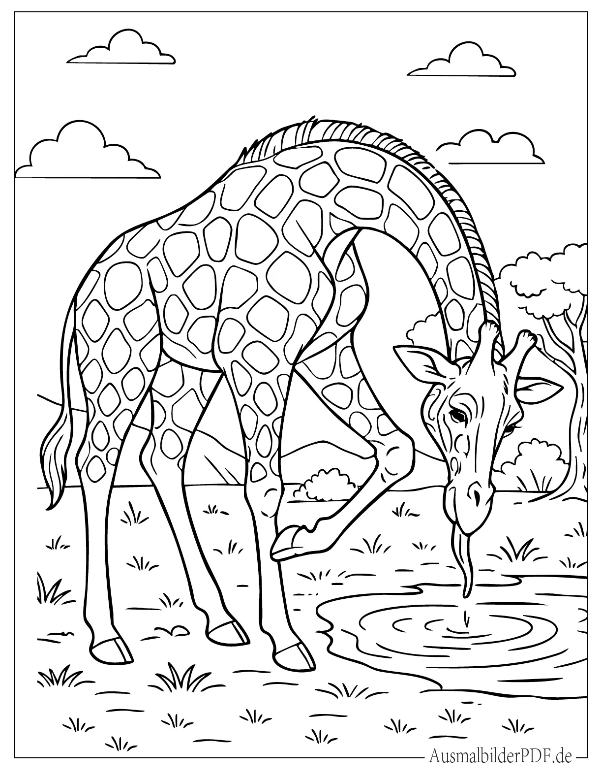 Giraffe beugt sich umständlich um ihr Bein zu kratzen zum Ausmalen