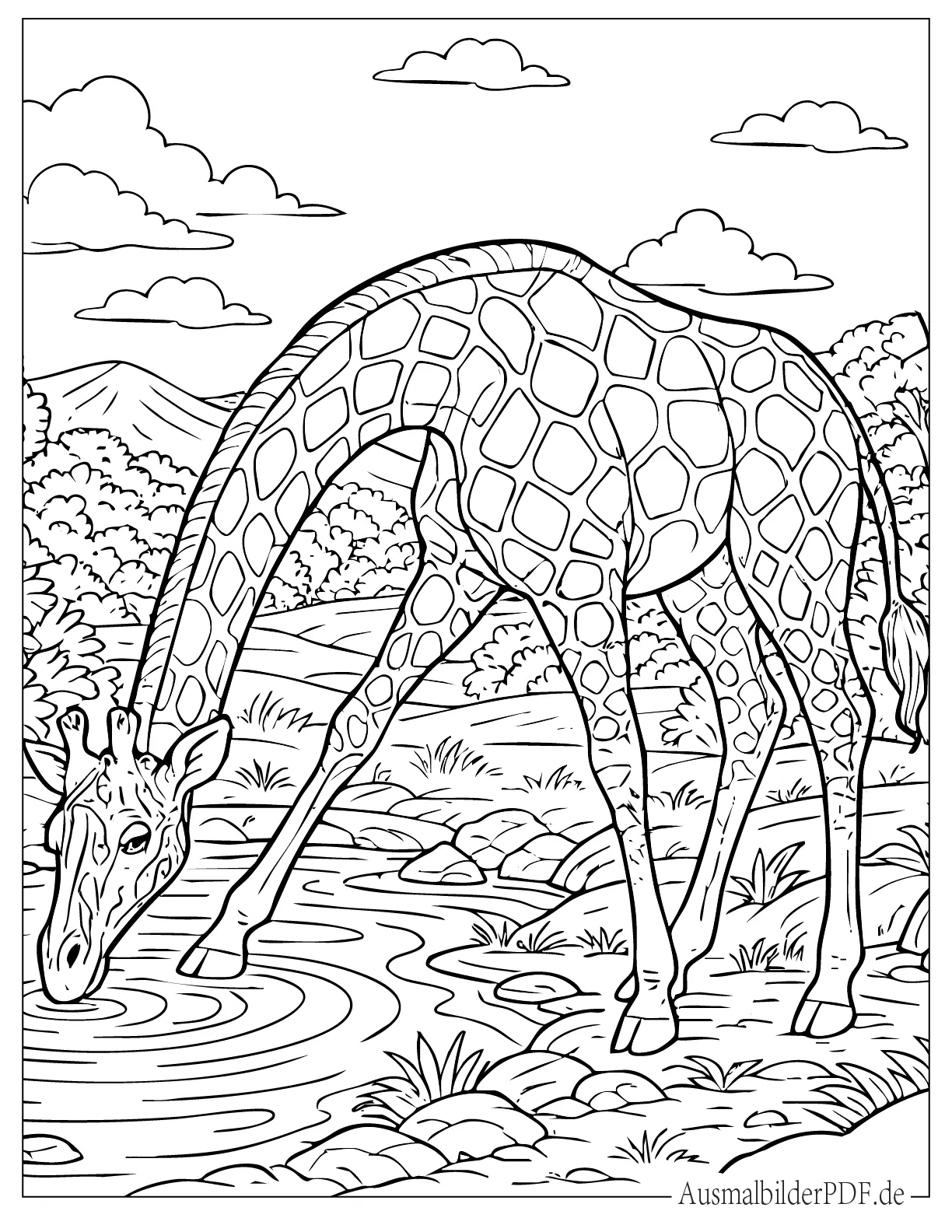 Realistische Giraffe trinkt Wasser an einem Teich Ausdruckbare Malvorlage