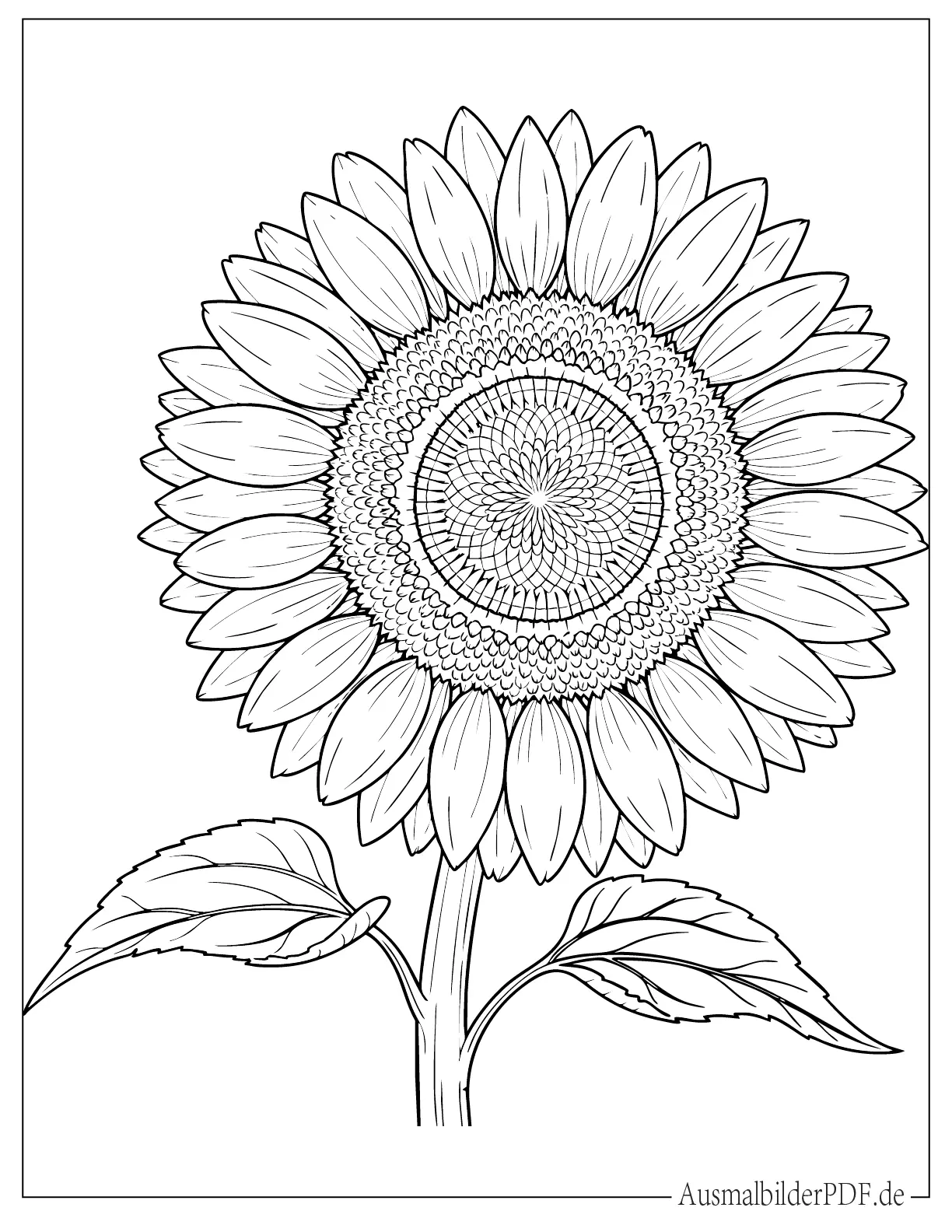 Große kühne Sonnenblume Malvorlage