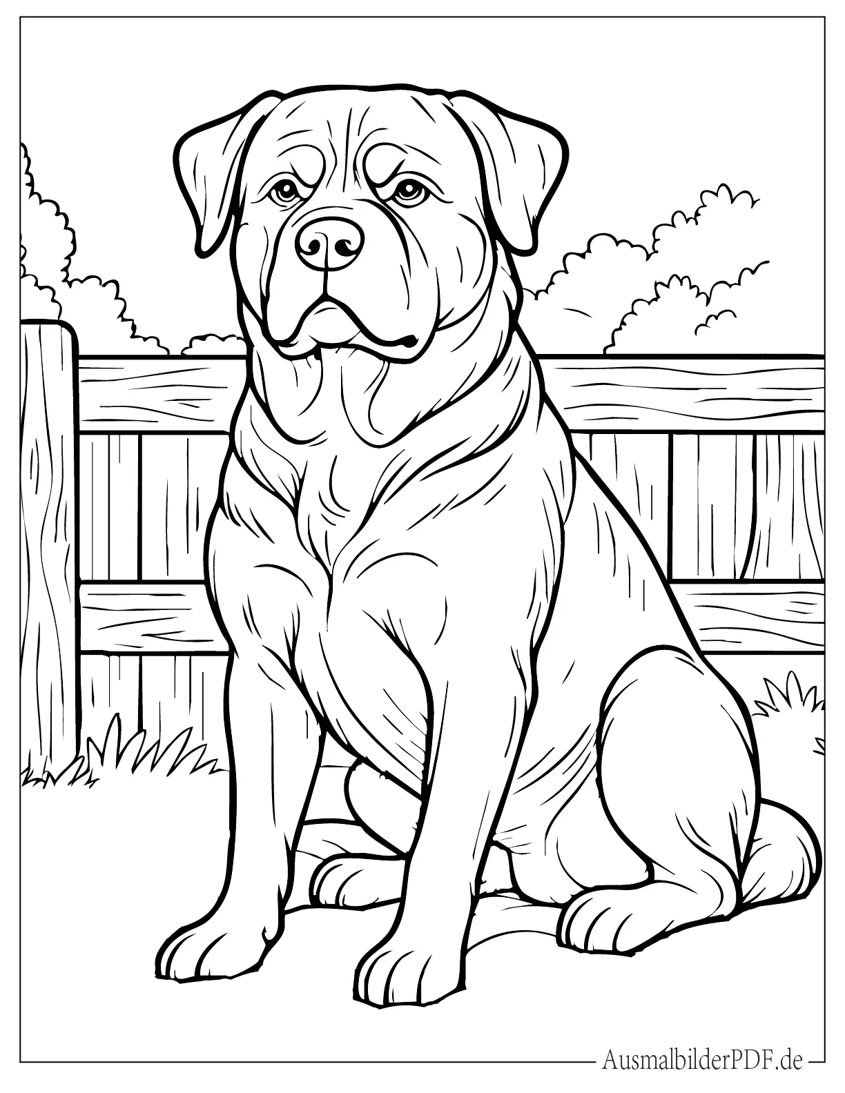 Großer Rottweiler Hund Ausmalvorlage