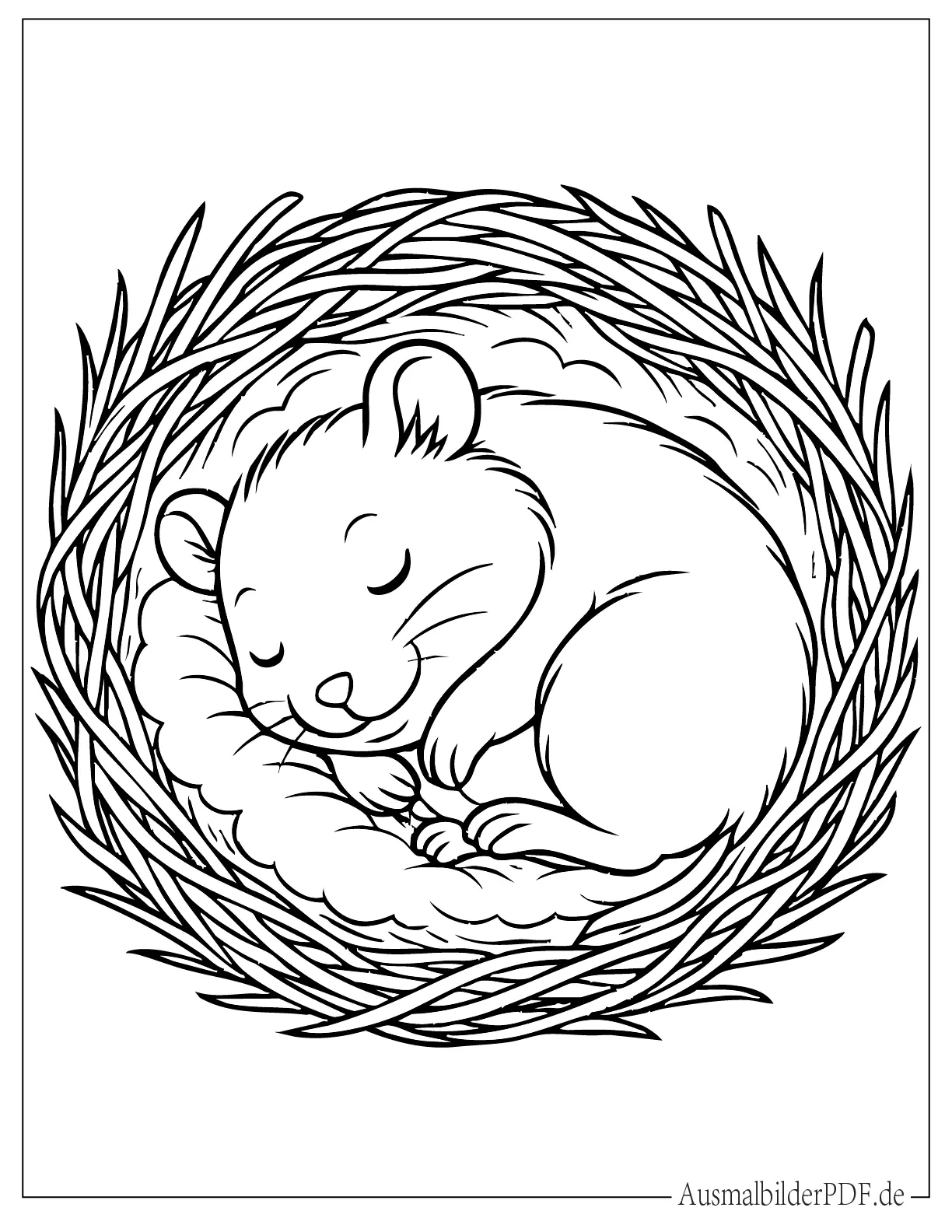 Hamster schläft in einem Nest zum Ausmalen