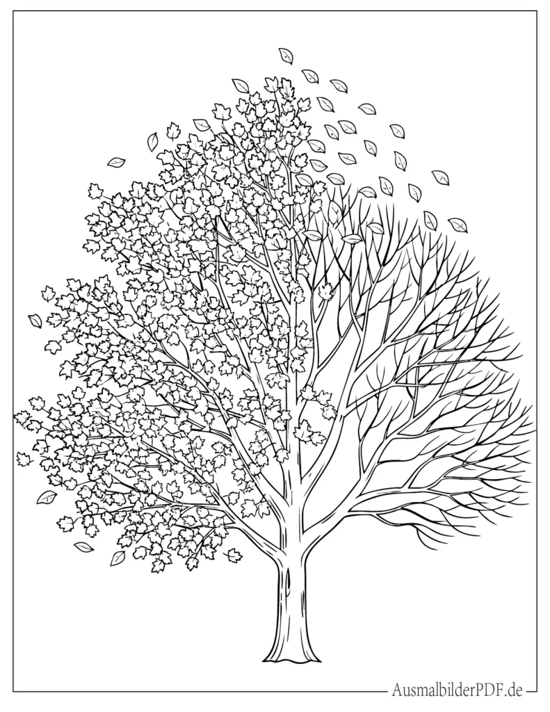 Herbstbaum mit kahlen Ästen und fallenden Blättern Ausmalbild