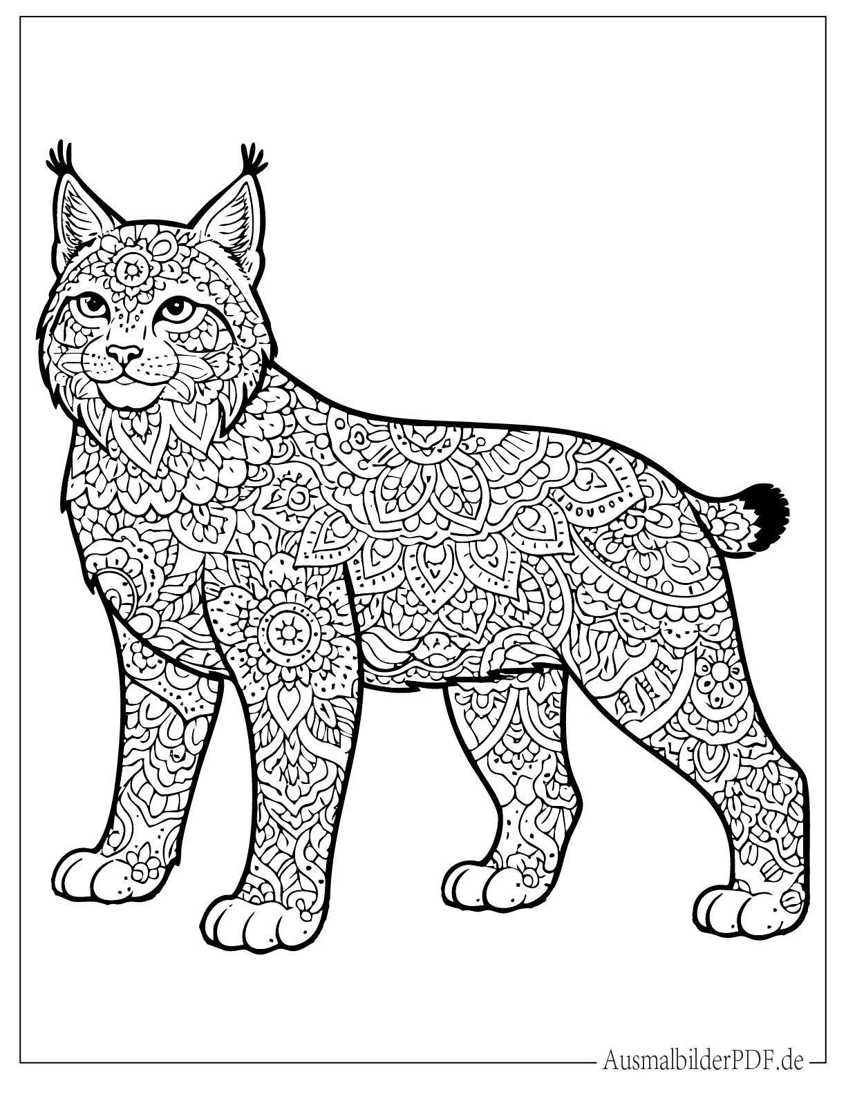Detailliertes Luchs Mandala Ausmalbild für Erwachsene