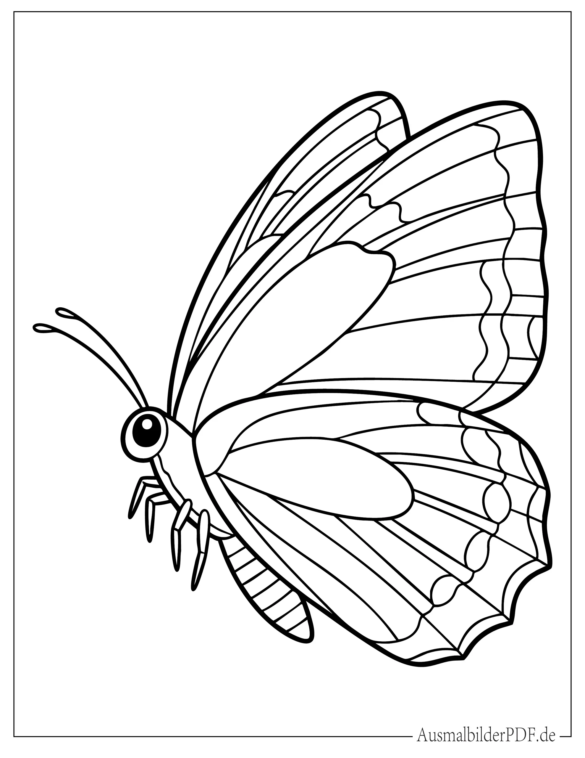 Malvorlage von realistischem Baby Schmetterling für Kinder