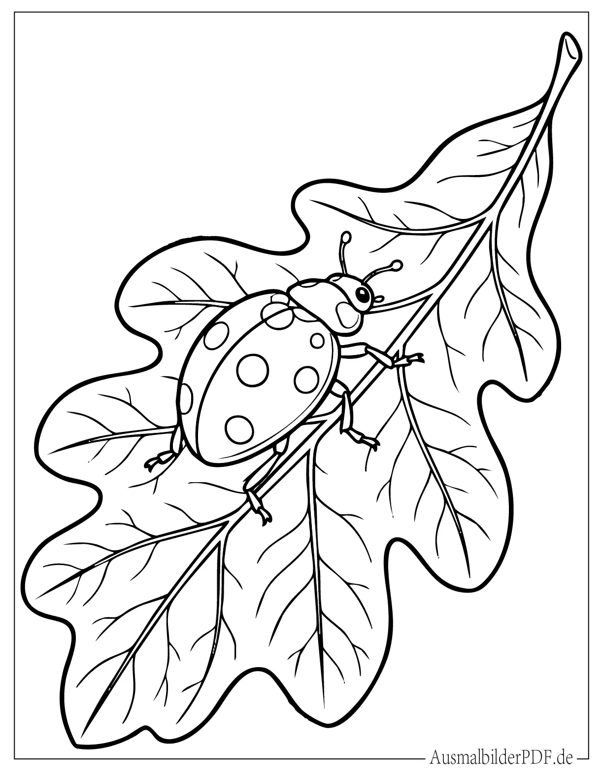 Ein kleiner Marienkäfer bewegt sich über ein großes Blatt in einer ruhigen Natur Szene als einfache Ausmalvorlage für Kinder