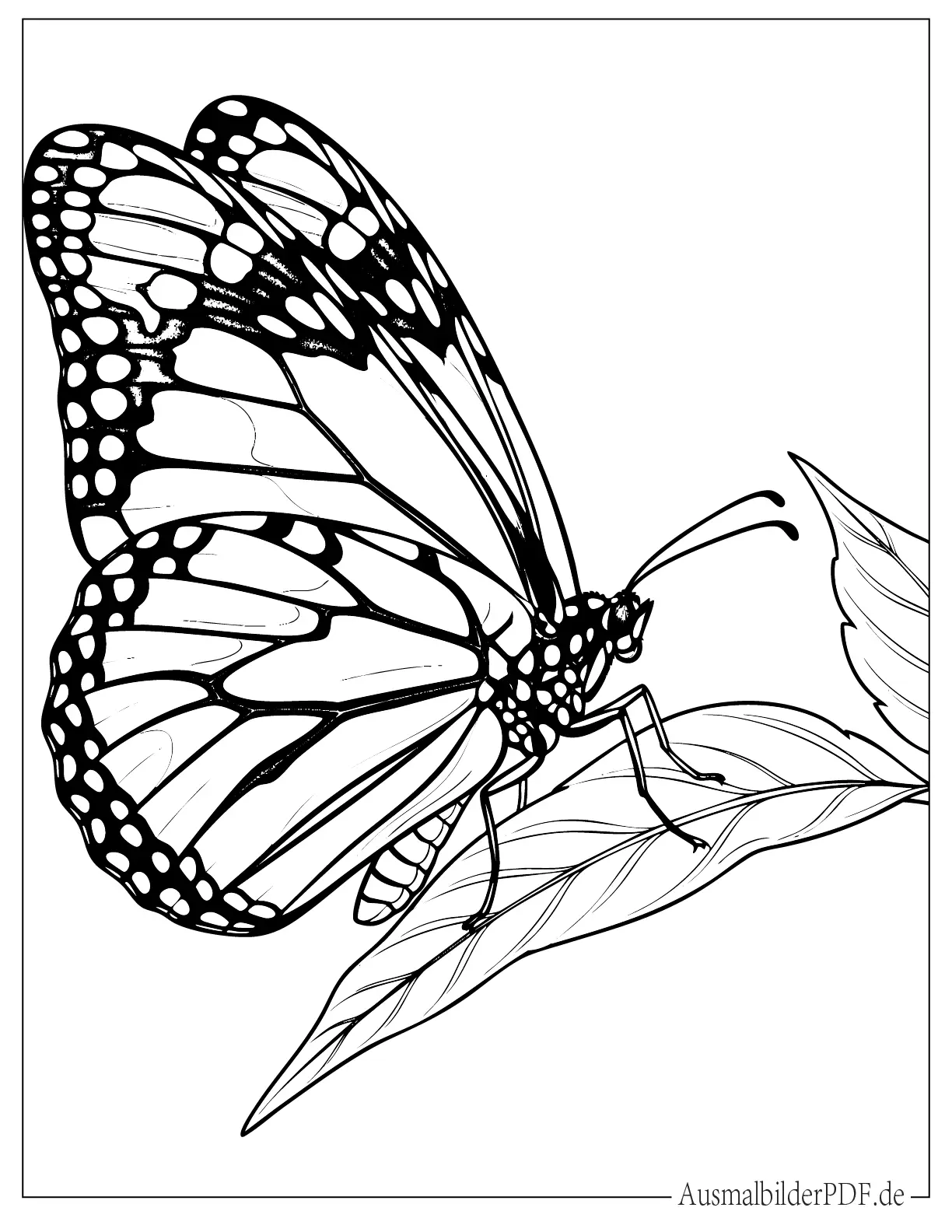 Realistischer Monarch Schmetterling sitzt auf Blatt zum Ausmalen