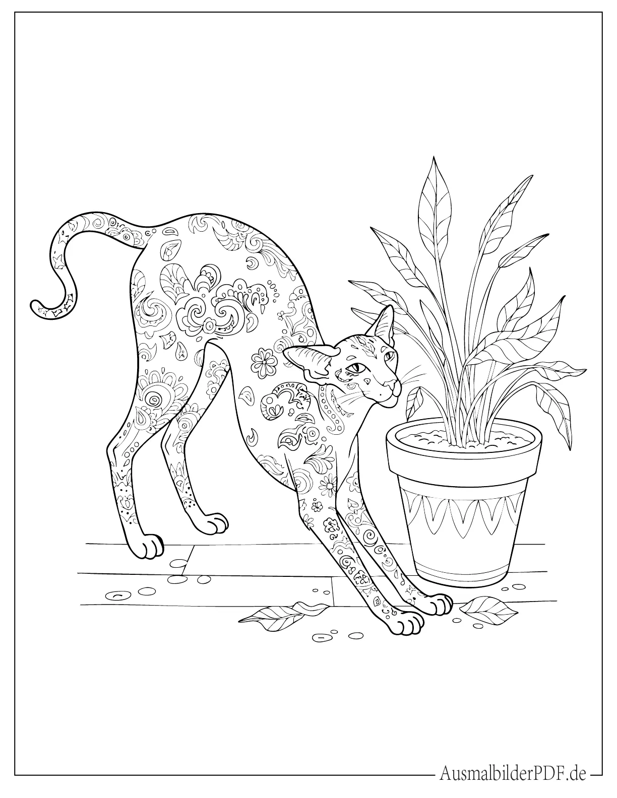 Orientalische Katze streckt sich Ausmalbild