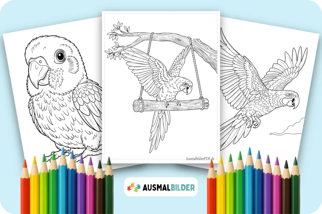 16 Papagei Ausmalbilder (Gratis Druckvorlagen zum Download) Papagei Ausmalbilder kostenlose Malvorlagen zum Ausdrucken für Kinder jeden Alters
