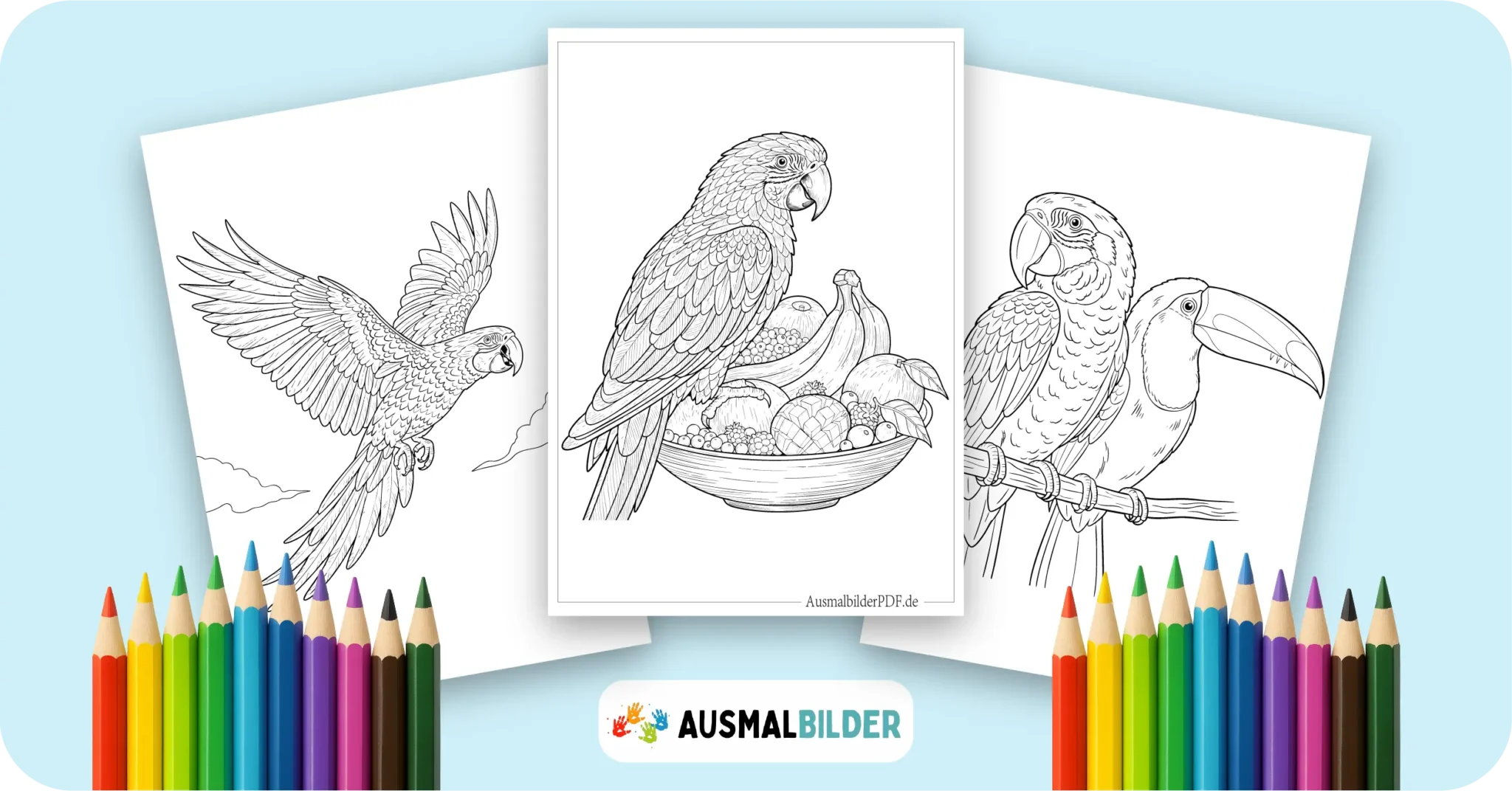 Papagei Ausmalbilder kostenlose Malvorlagen zum Ausdrucken für Kinder und Erwachsene