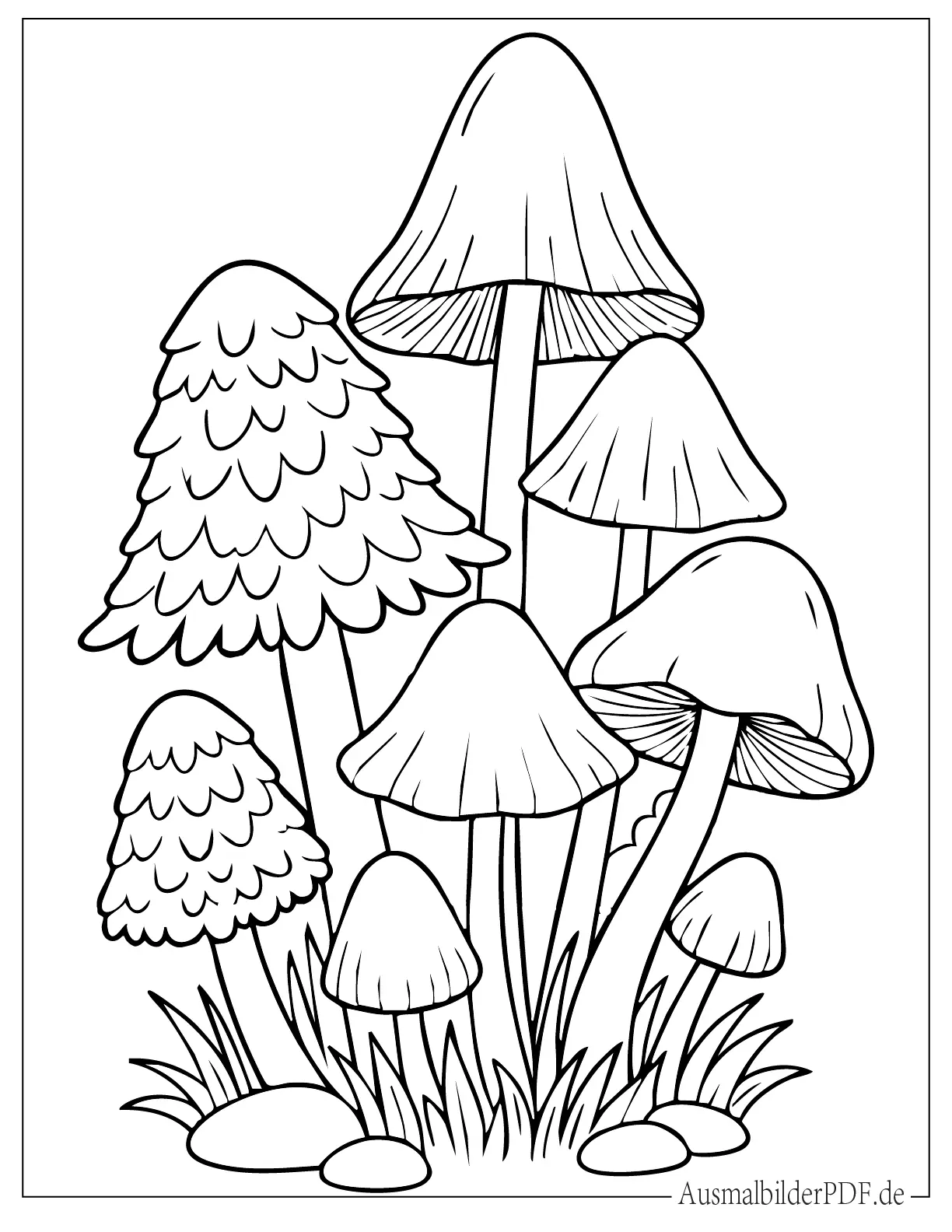 Verschiedene glockenförmige Pilze zum Ausmalen