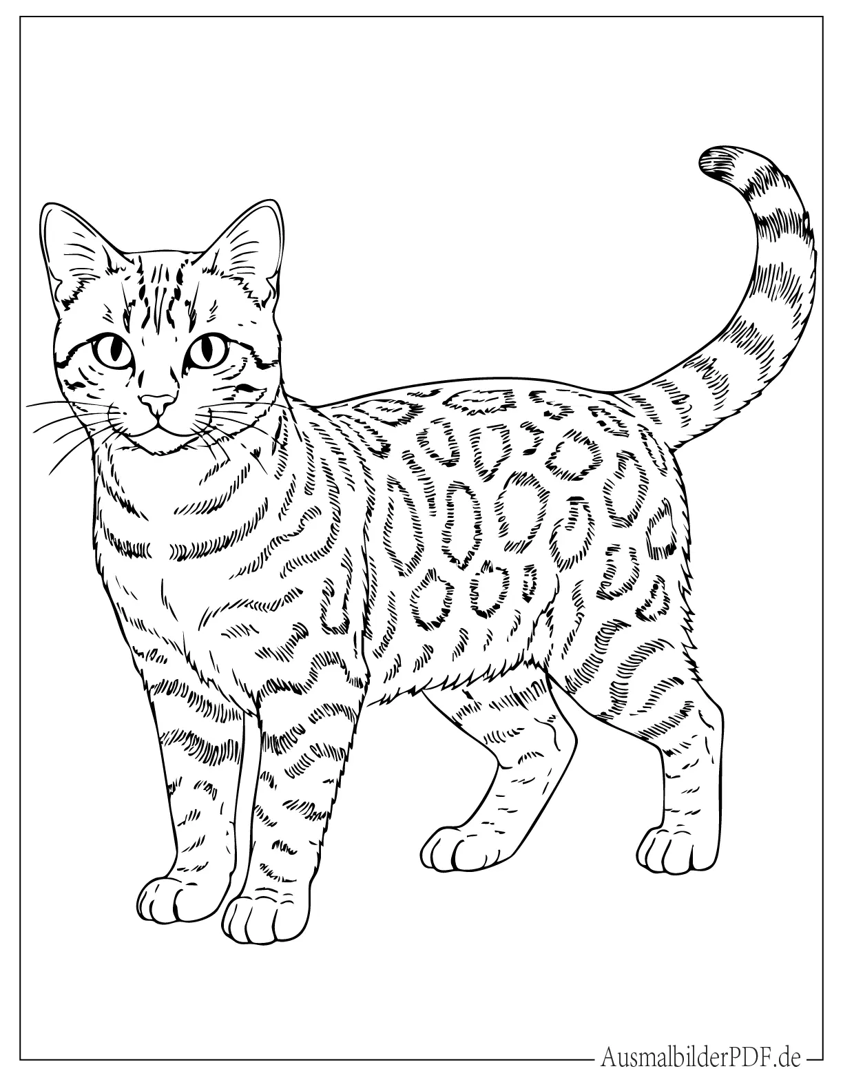 Realistische Bengalkatze Ausmalbild zum Ausdrucken