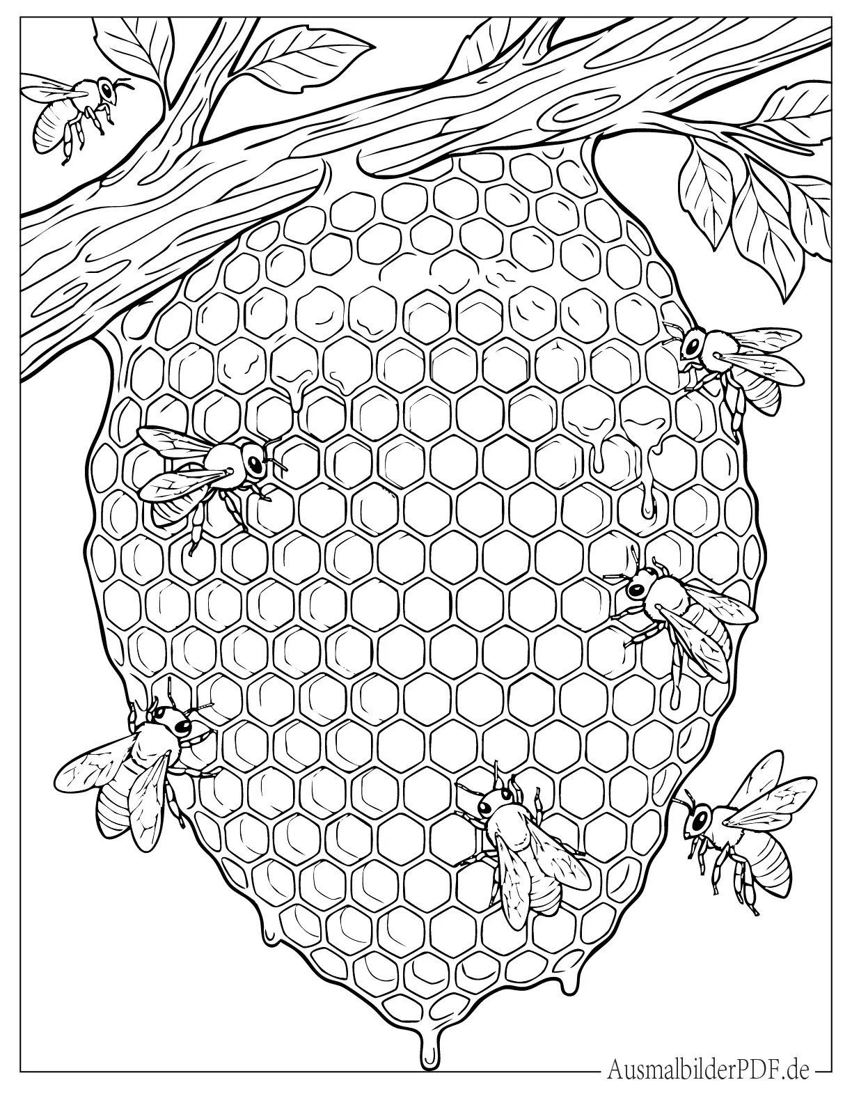 Realistische Bienen stellen Honig her Ausmalbild