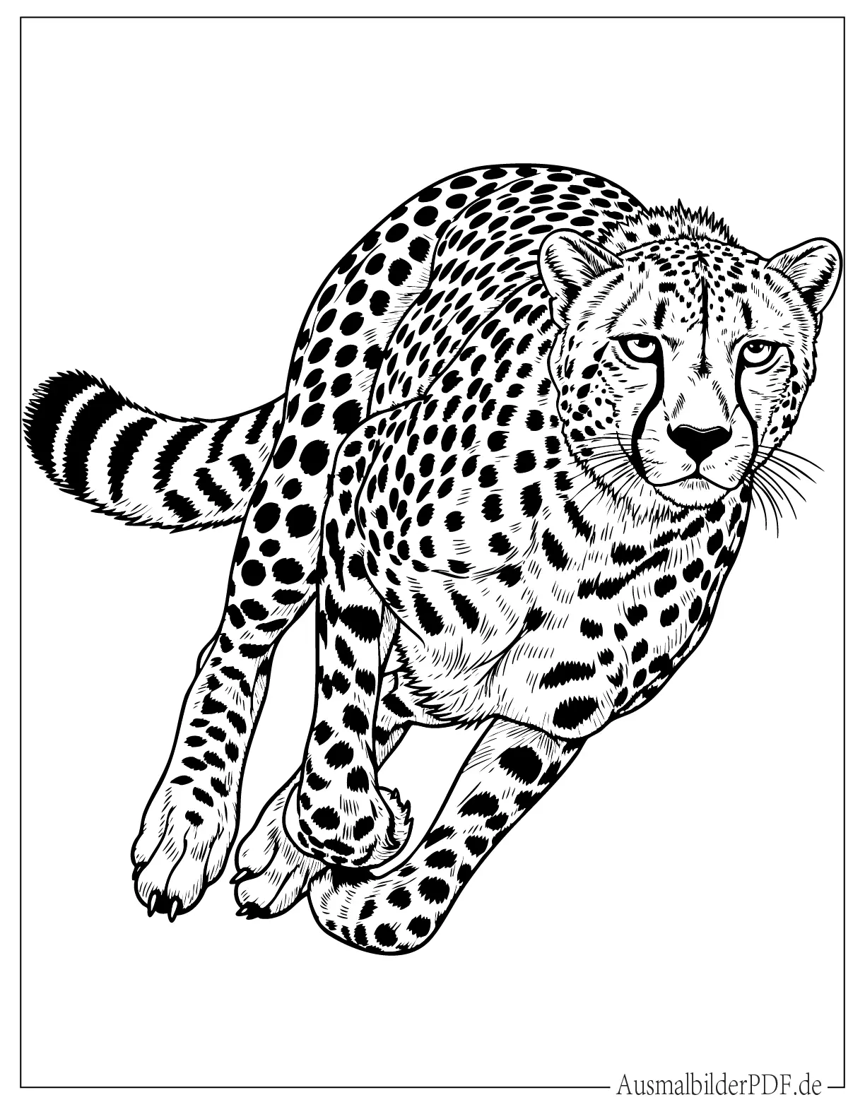 Realistischer Gepard rennt Ausmalvorlage