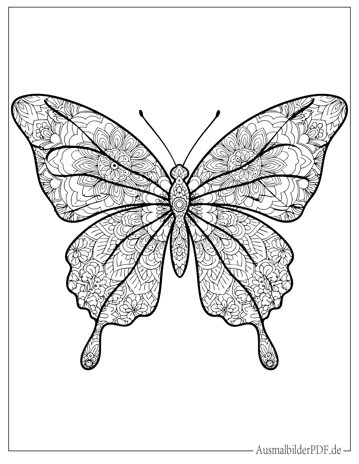 Detailliertes Schmetterling Mandala Ausmalbild für Erwachsene