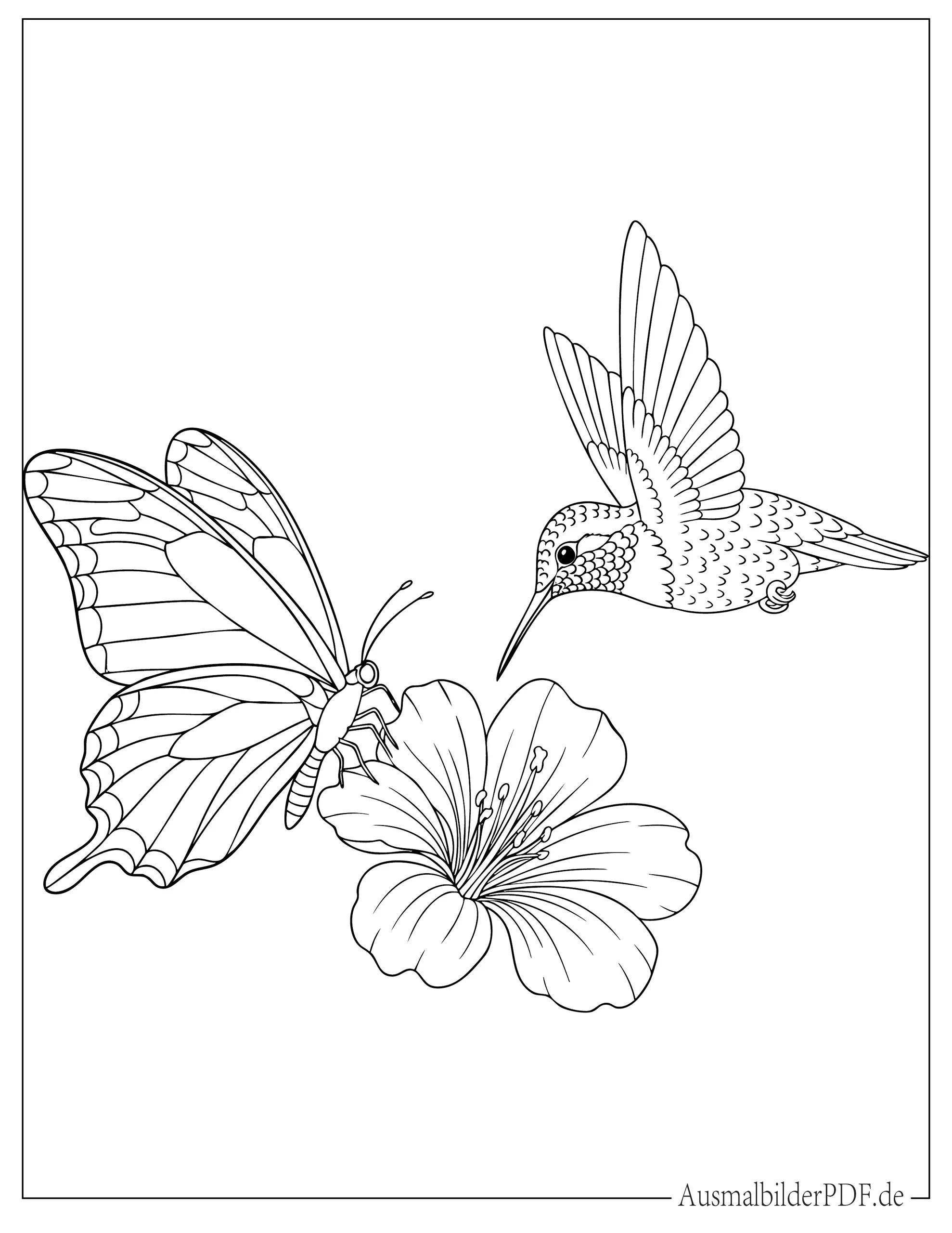 Schmetterling und Kolibri auf Blume Ausmalbild