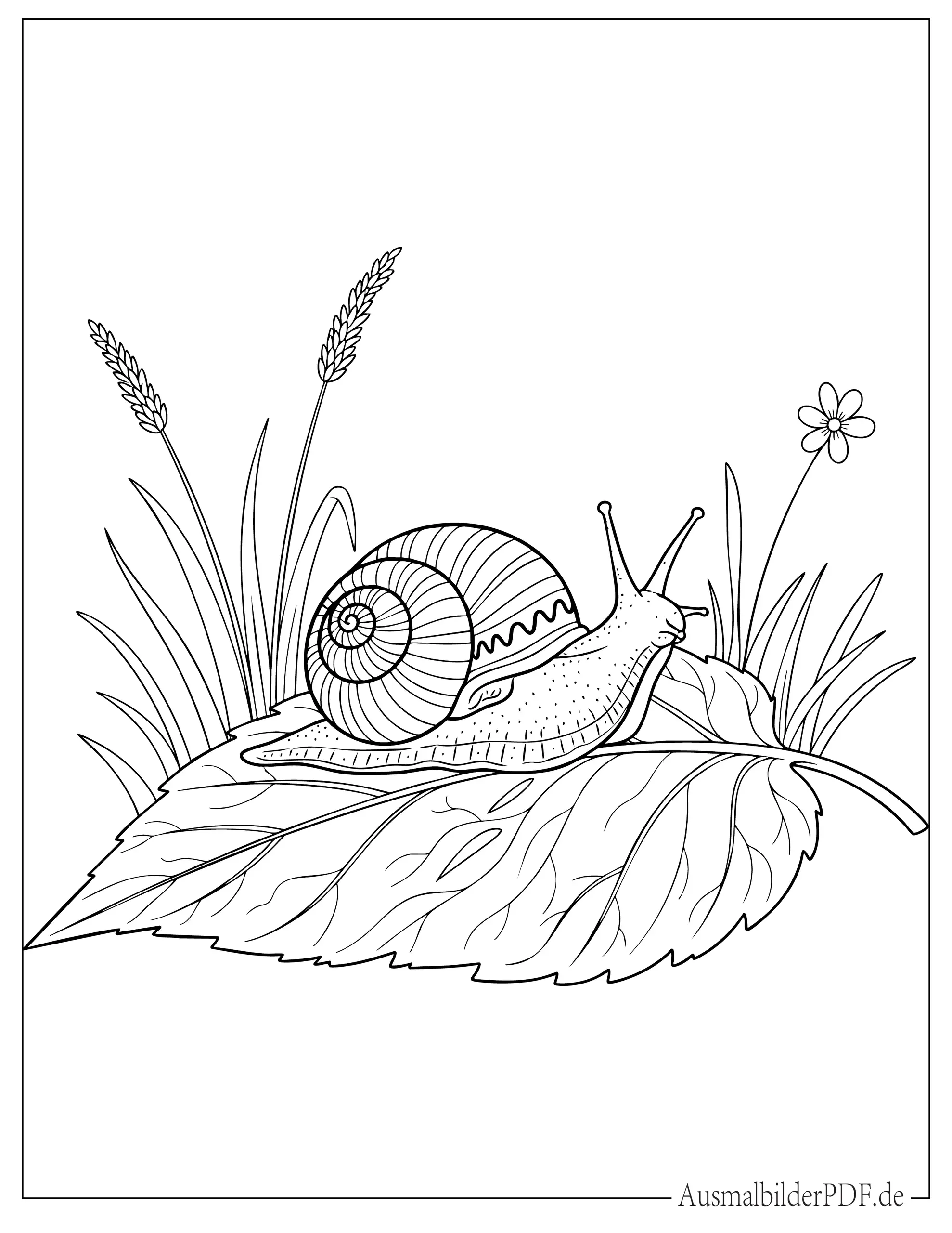 Einfache Schnecke sitzt auf Blatt Ausmalbild für Kinder