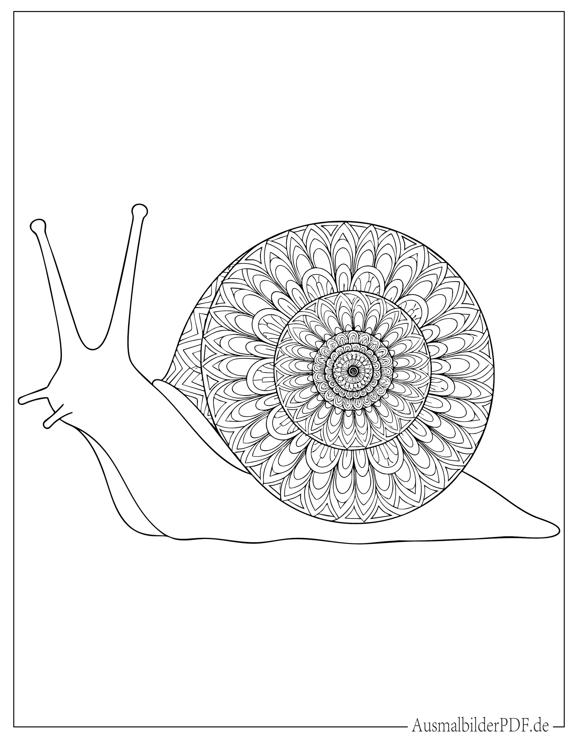 Schnecke mit Spiralgehäuse Mandala zum Ausmalen