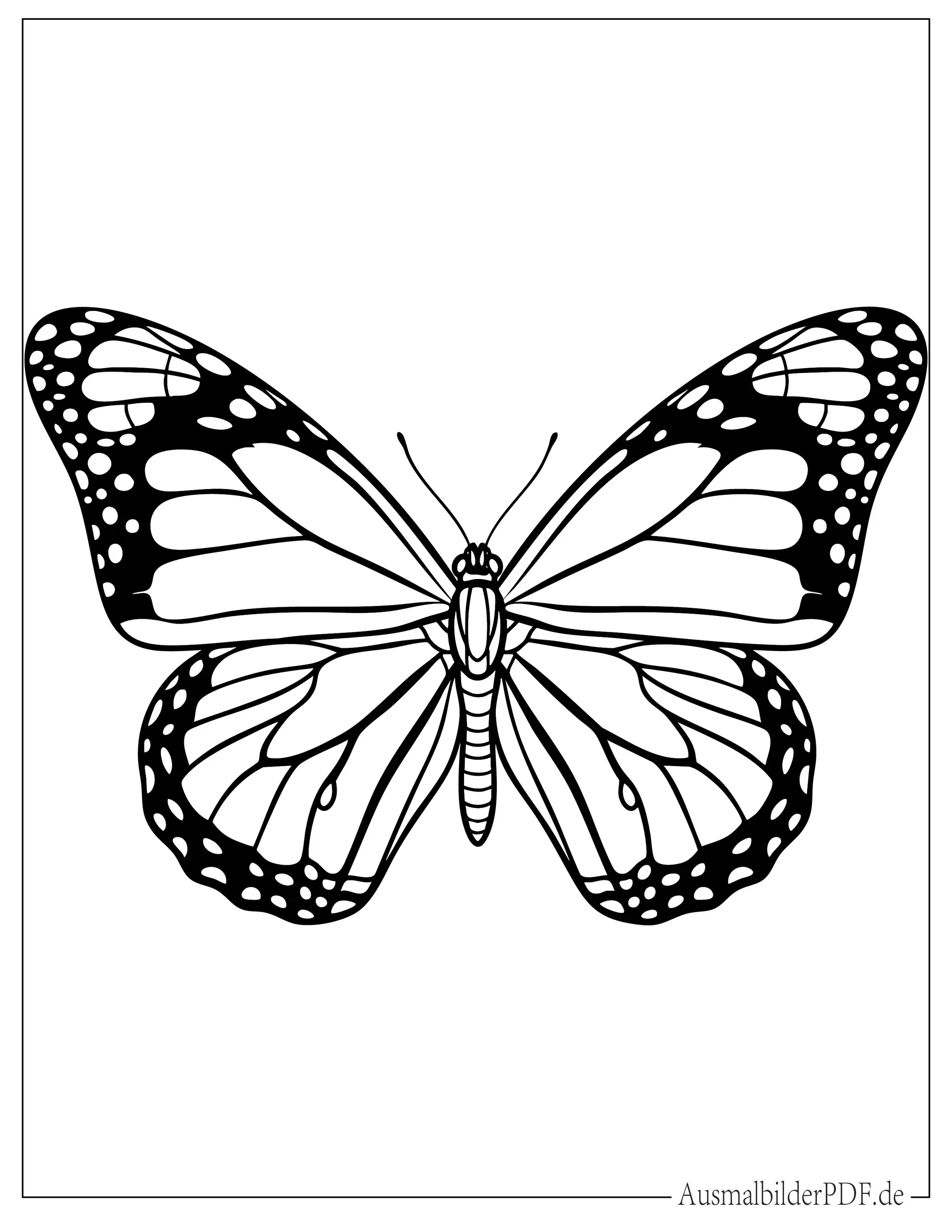 Schöner Schmetterling Ausmalbild zum Ausdrucken