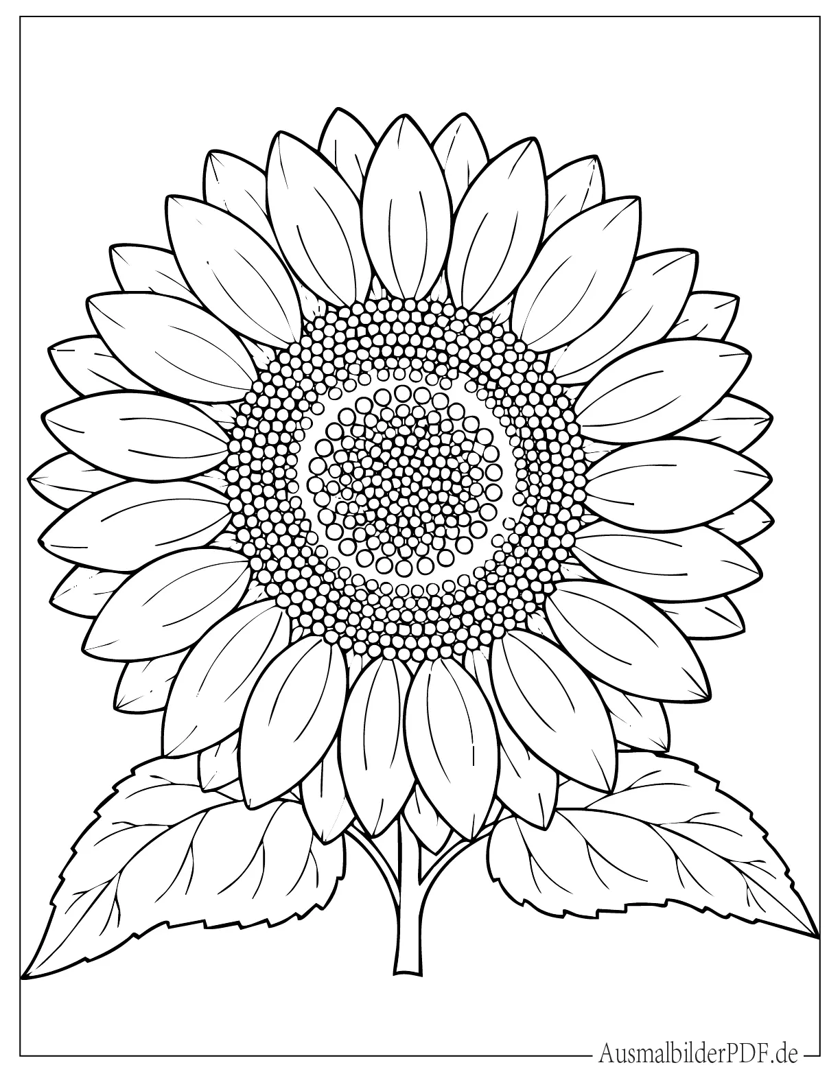 Sonnenblumen Kopf Umriss Malvorlage