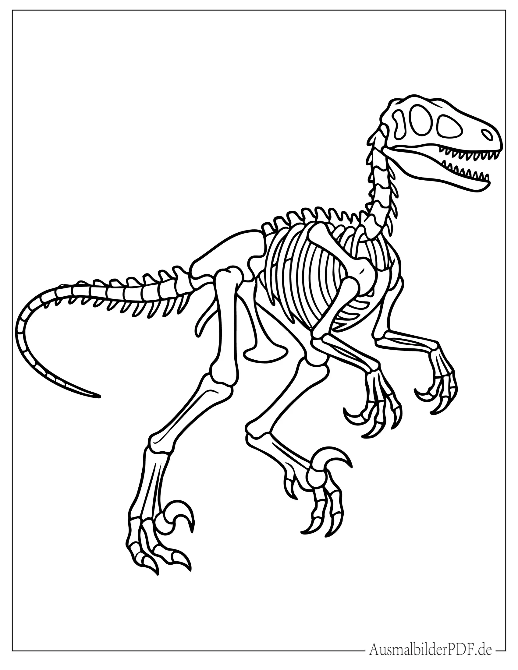 18 Velociraptor Ausmalbilder (Gratis Malvorlage zum Drucken) Velociraptor Dinosaurier Skelett Malvorlage